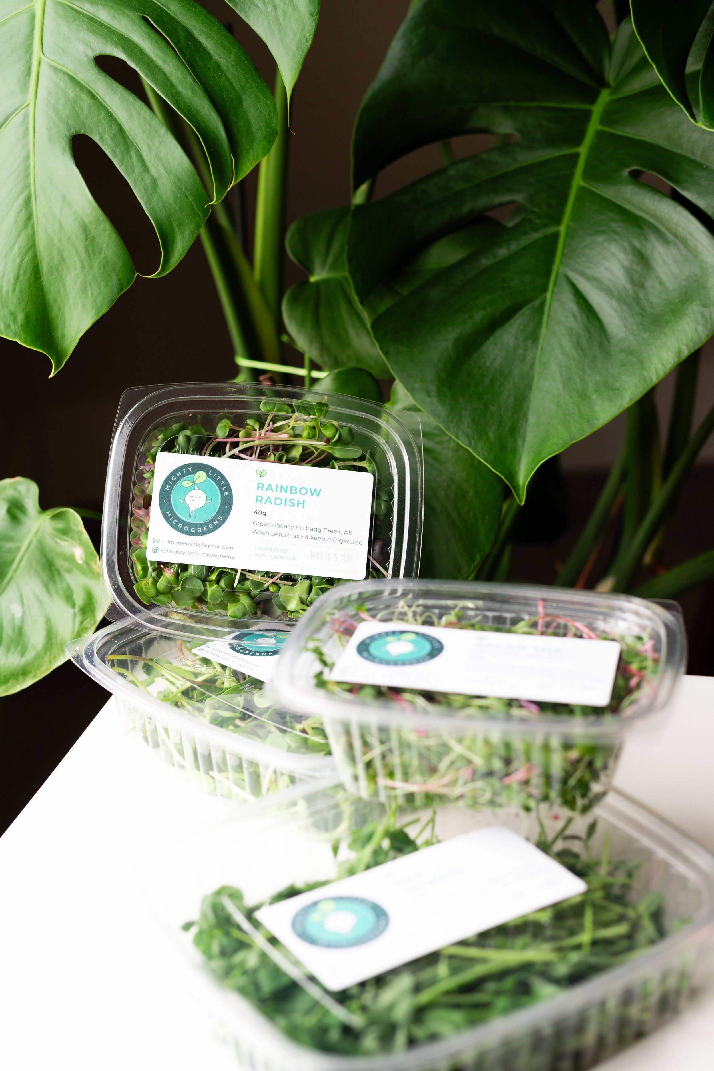 Monthly Subscription (3 Containers Weekly)