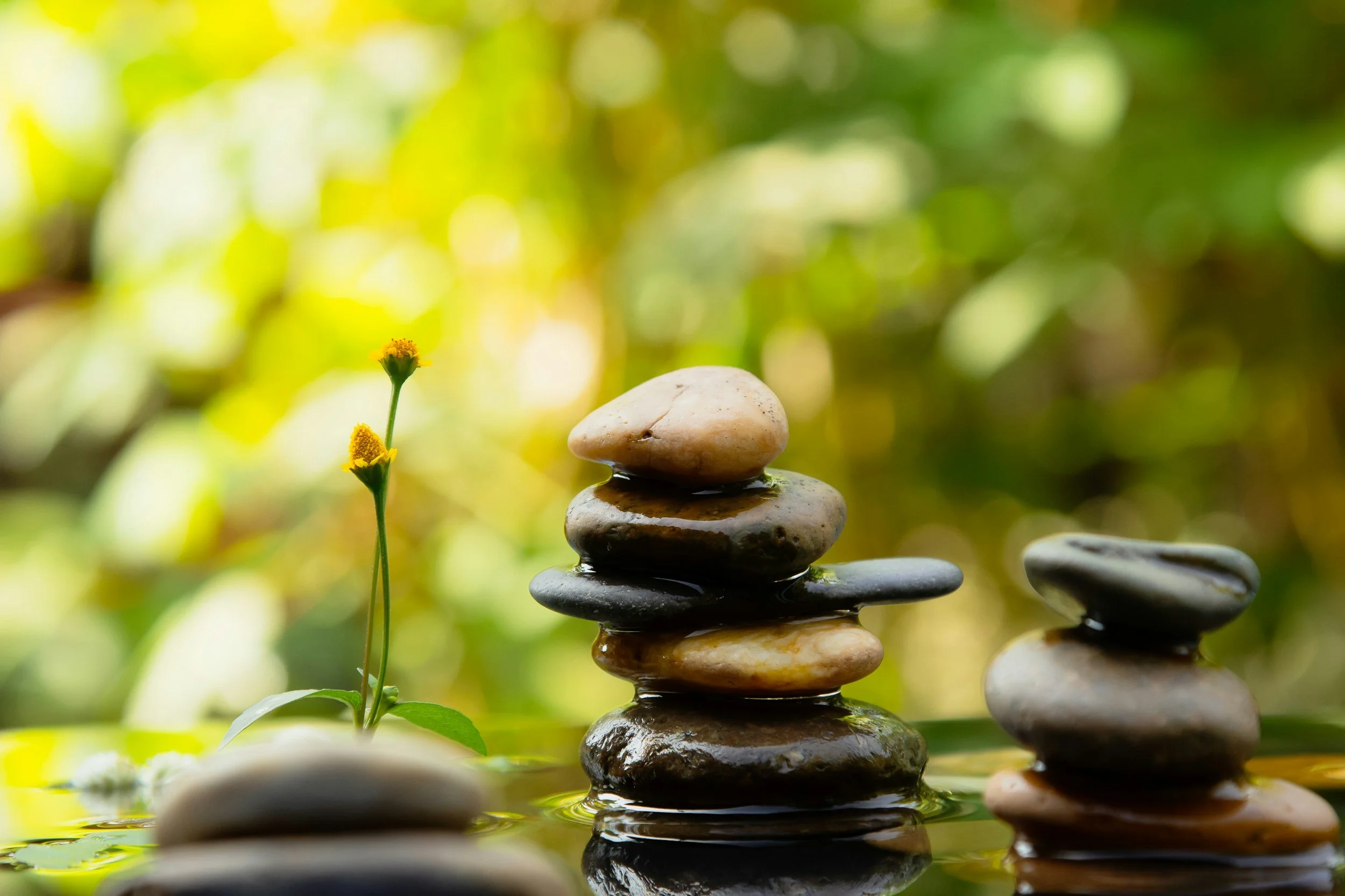 Stacked smooth stones in a balanced arrangement with a yellow flower nearby, reflecting on water surrounded by green foliage in the background.