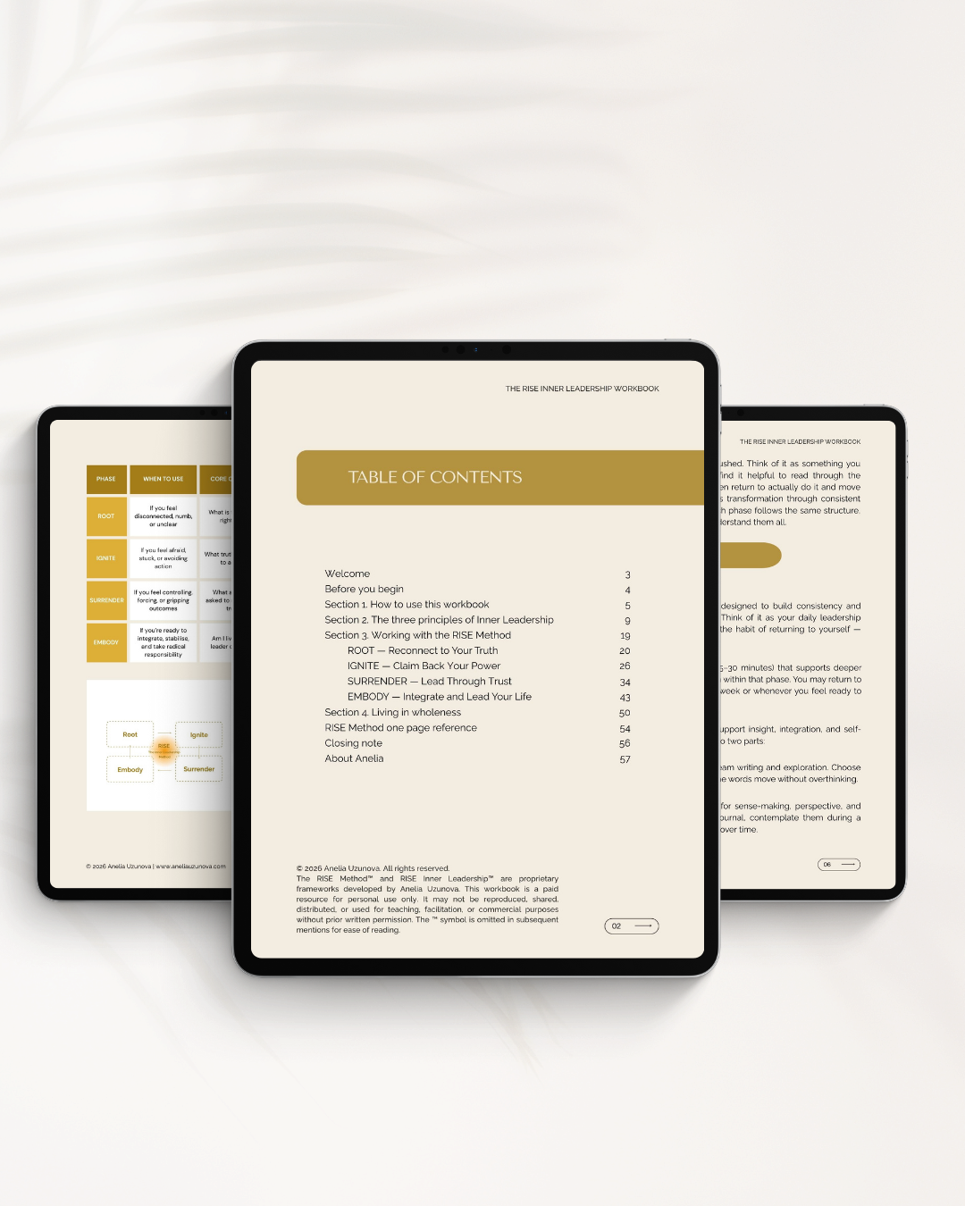 THE RISE INNER LEADERSHIP™ WORKBOOK Anelia Uzunova