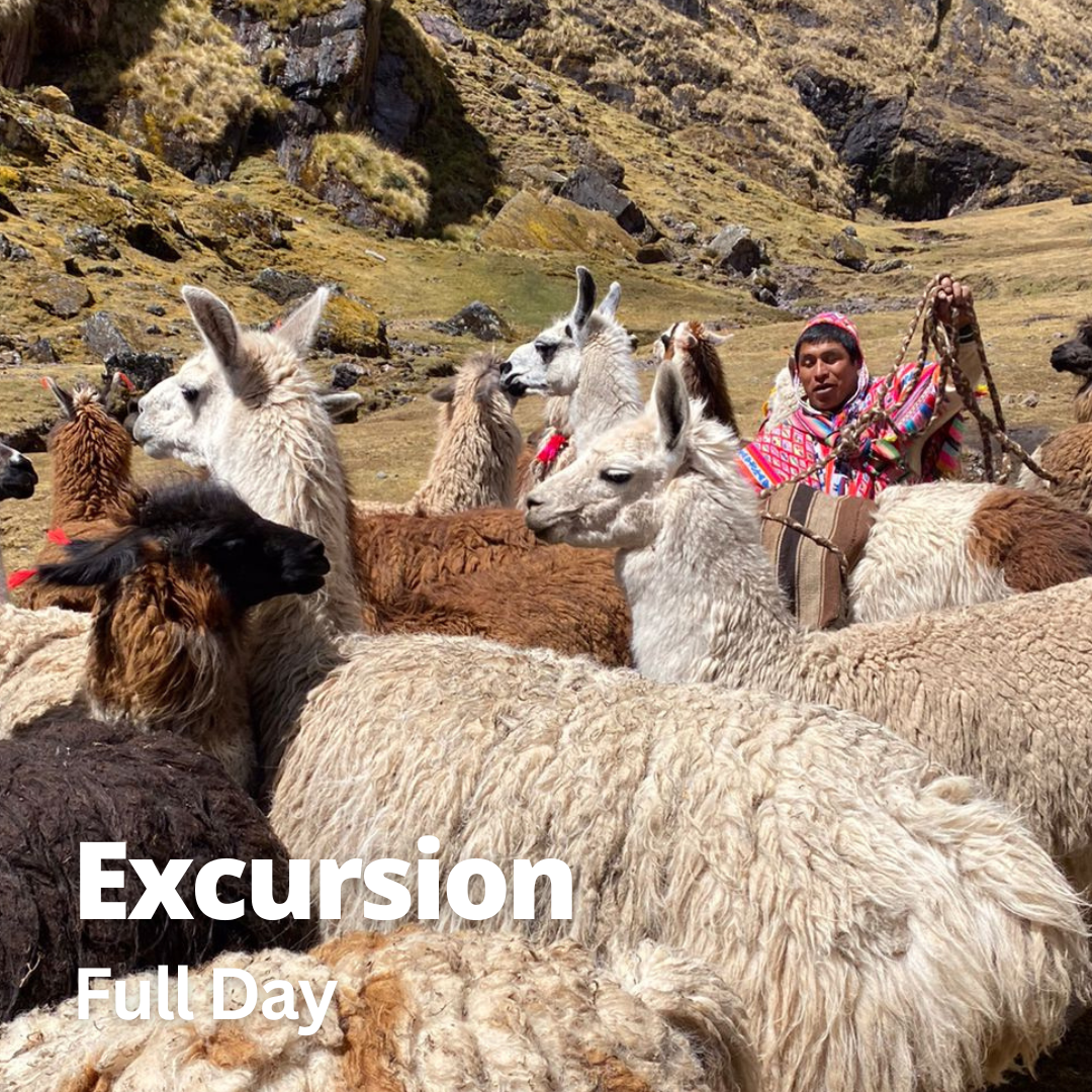 High-Andean Excursion