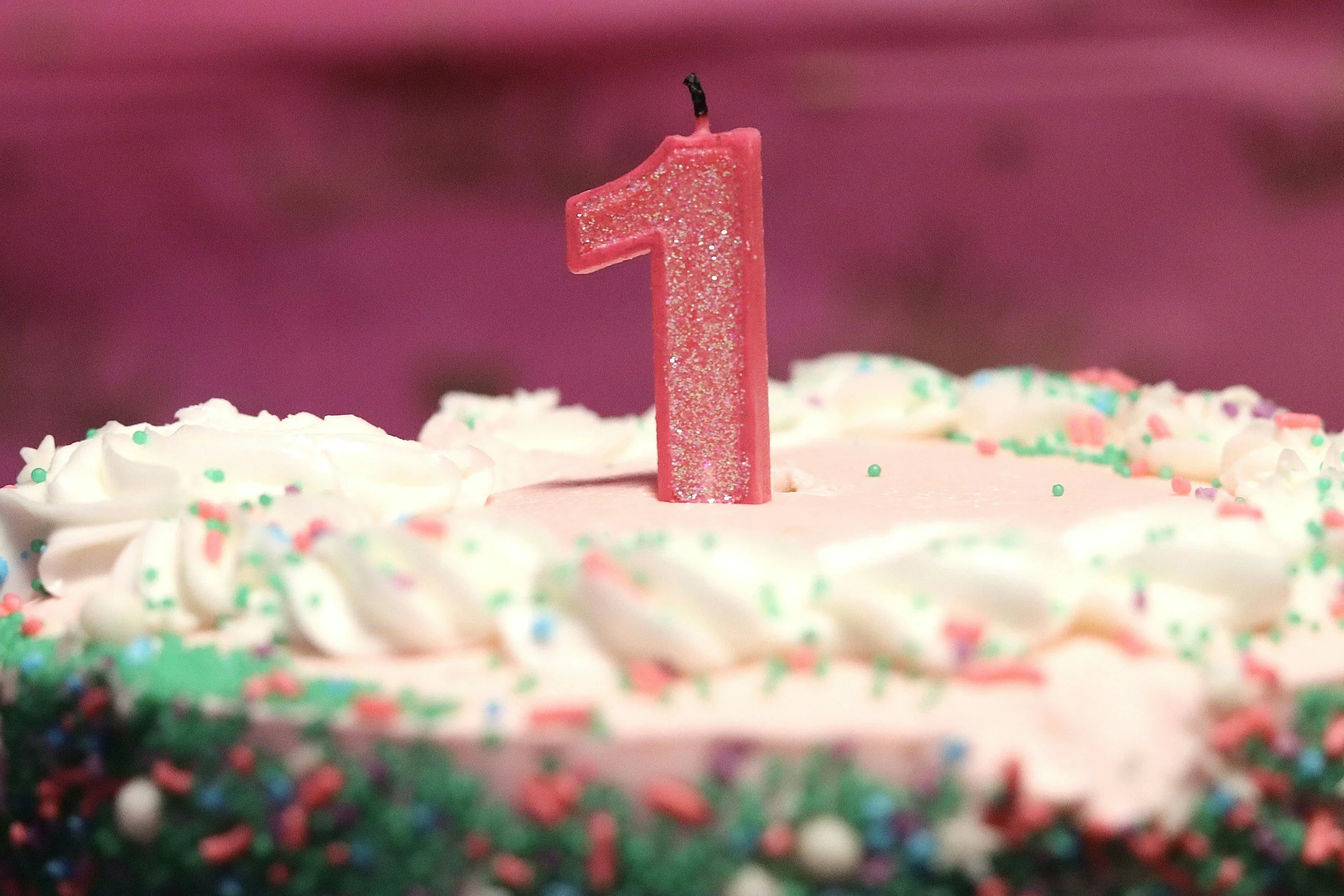 One Year In: What Compound Growth Actually Means