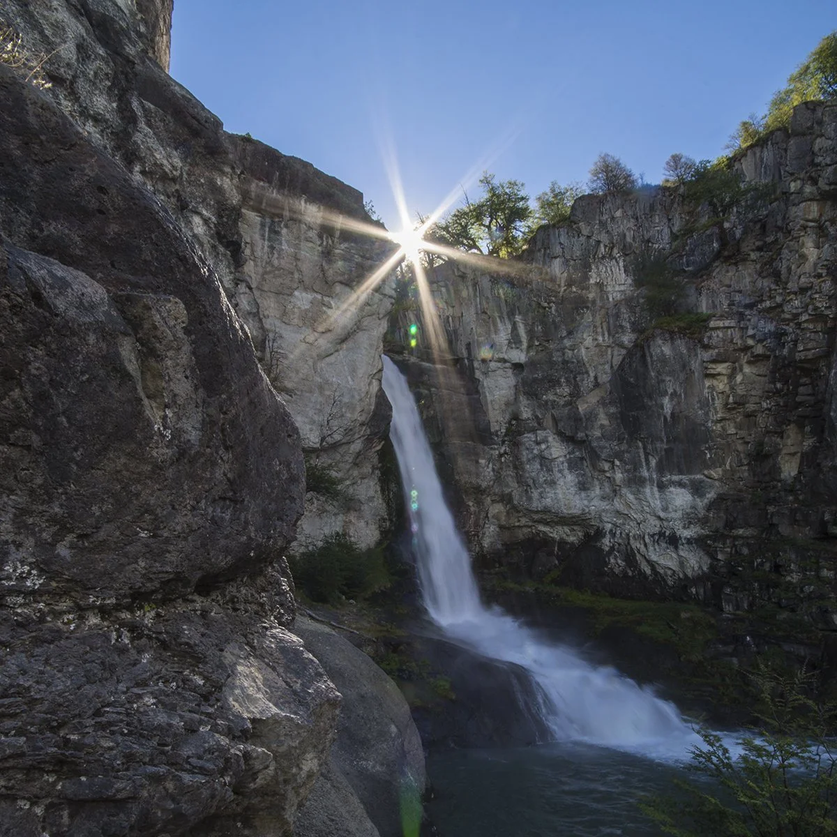 elsalto.jpg