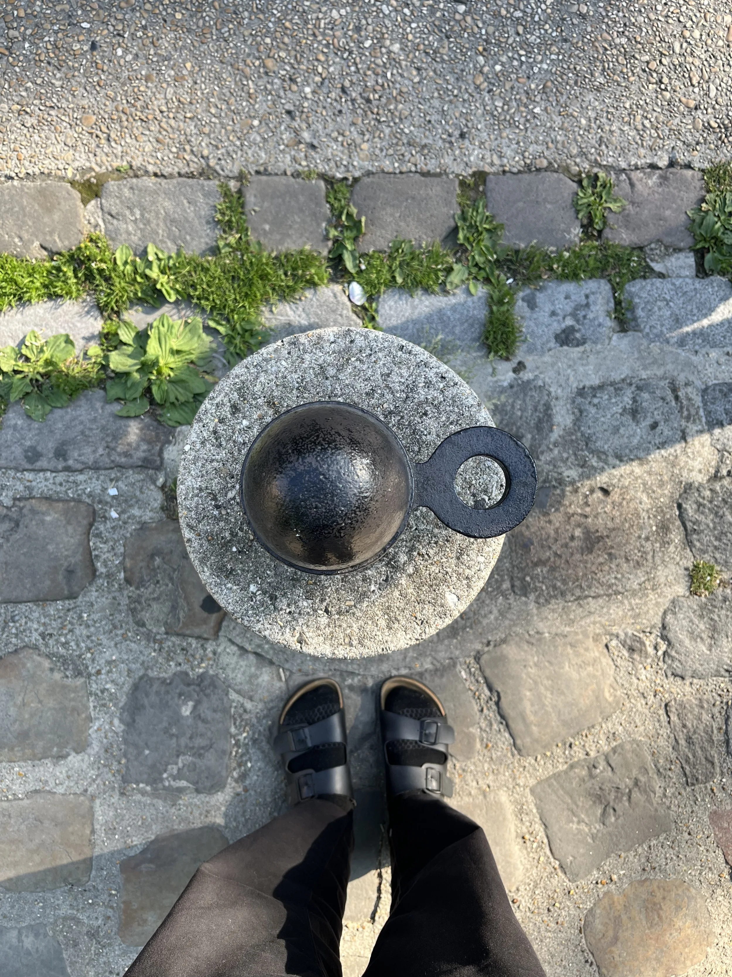 IMG_1008.jpeg