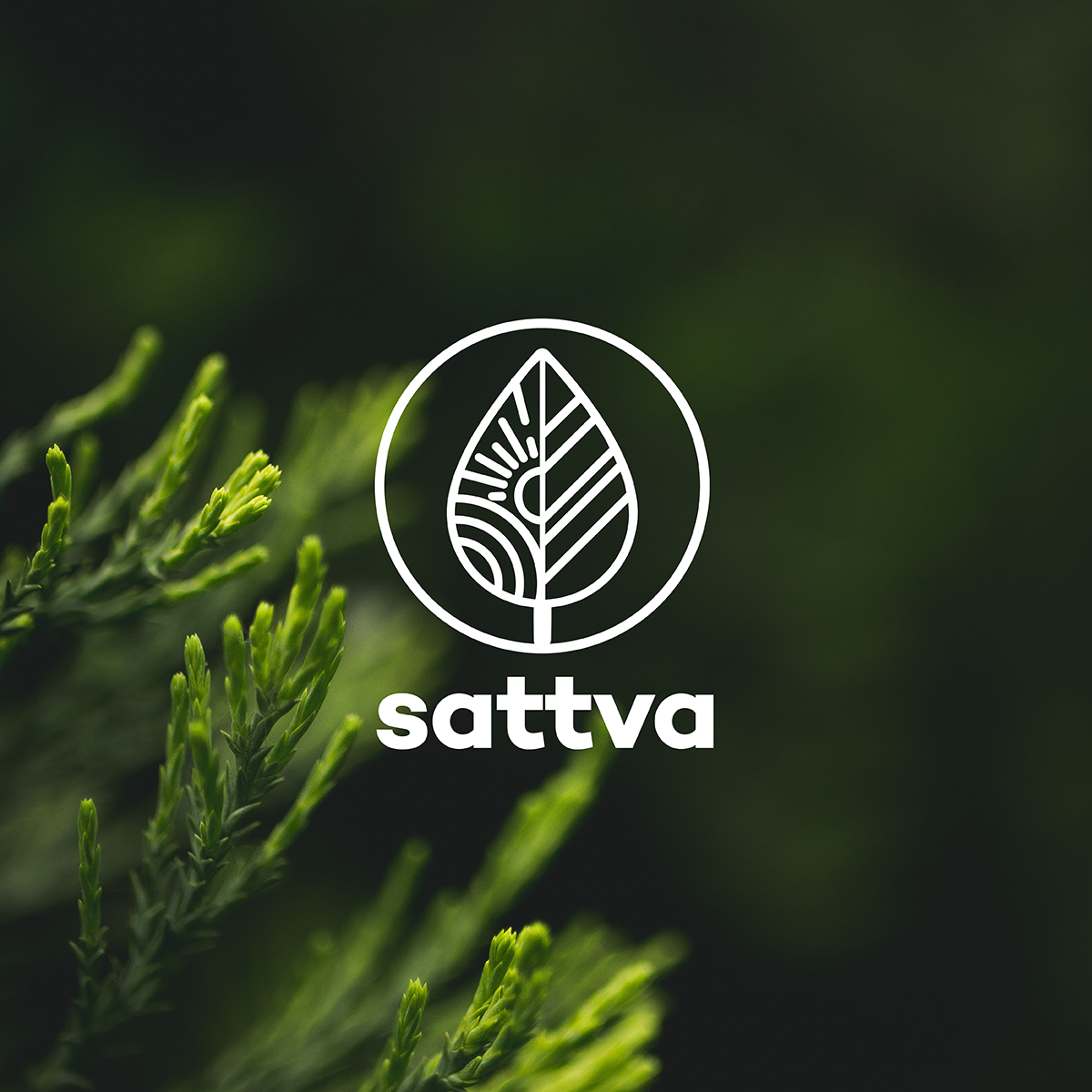 sattva1200.png