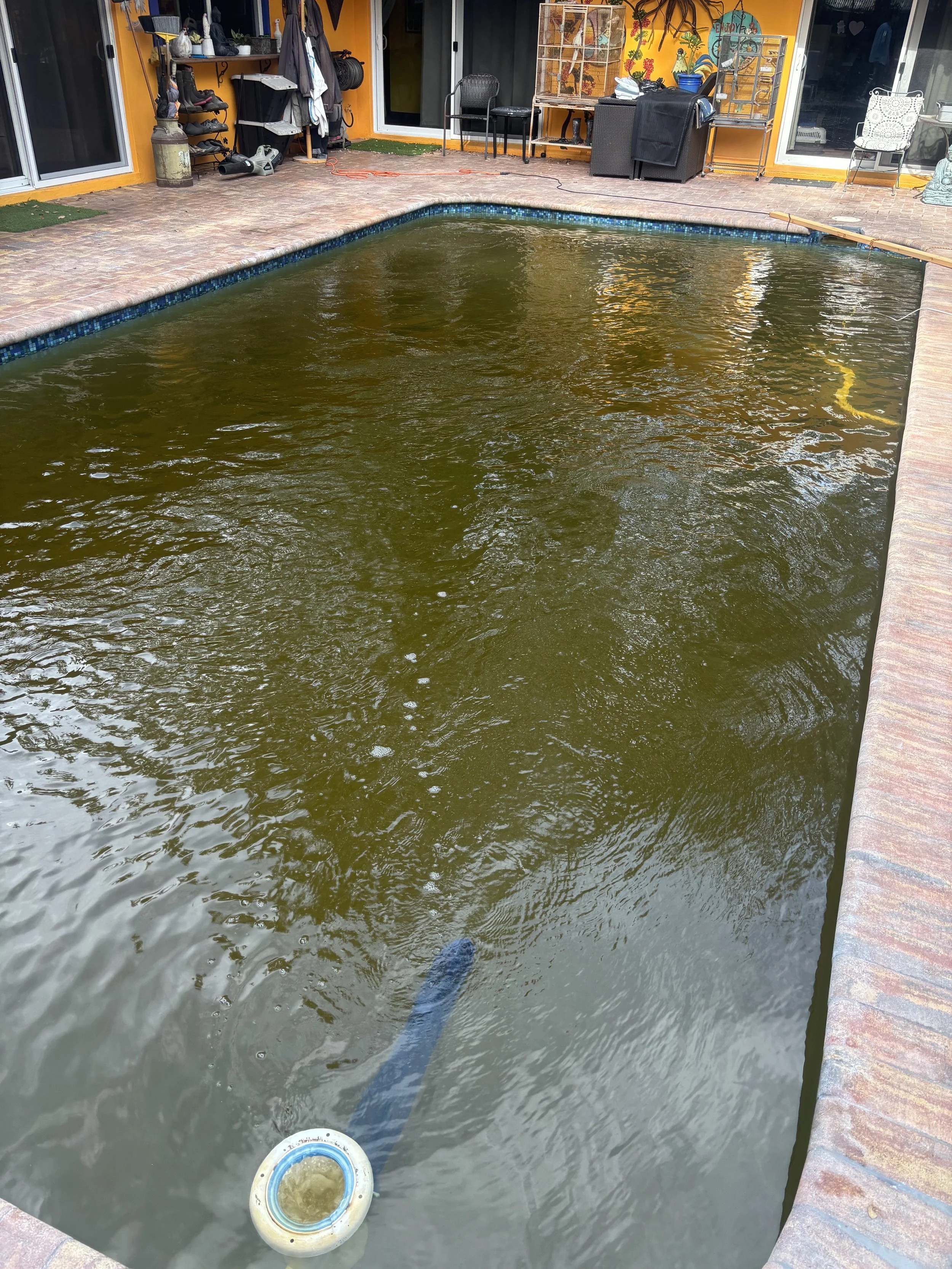 Brown murky pool before shock and maintenance