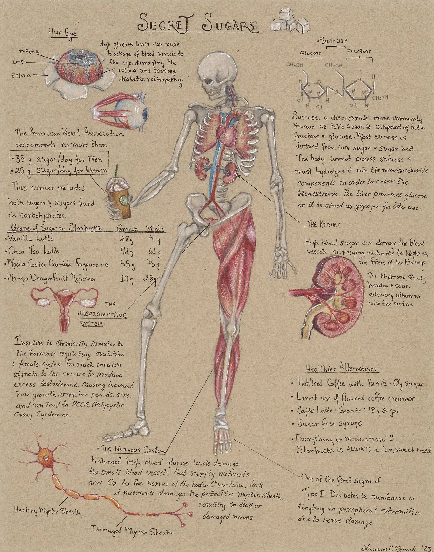 Secret Sugars: a deep dive into the little-known side-effects of sugary drinks