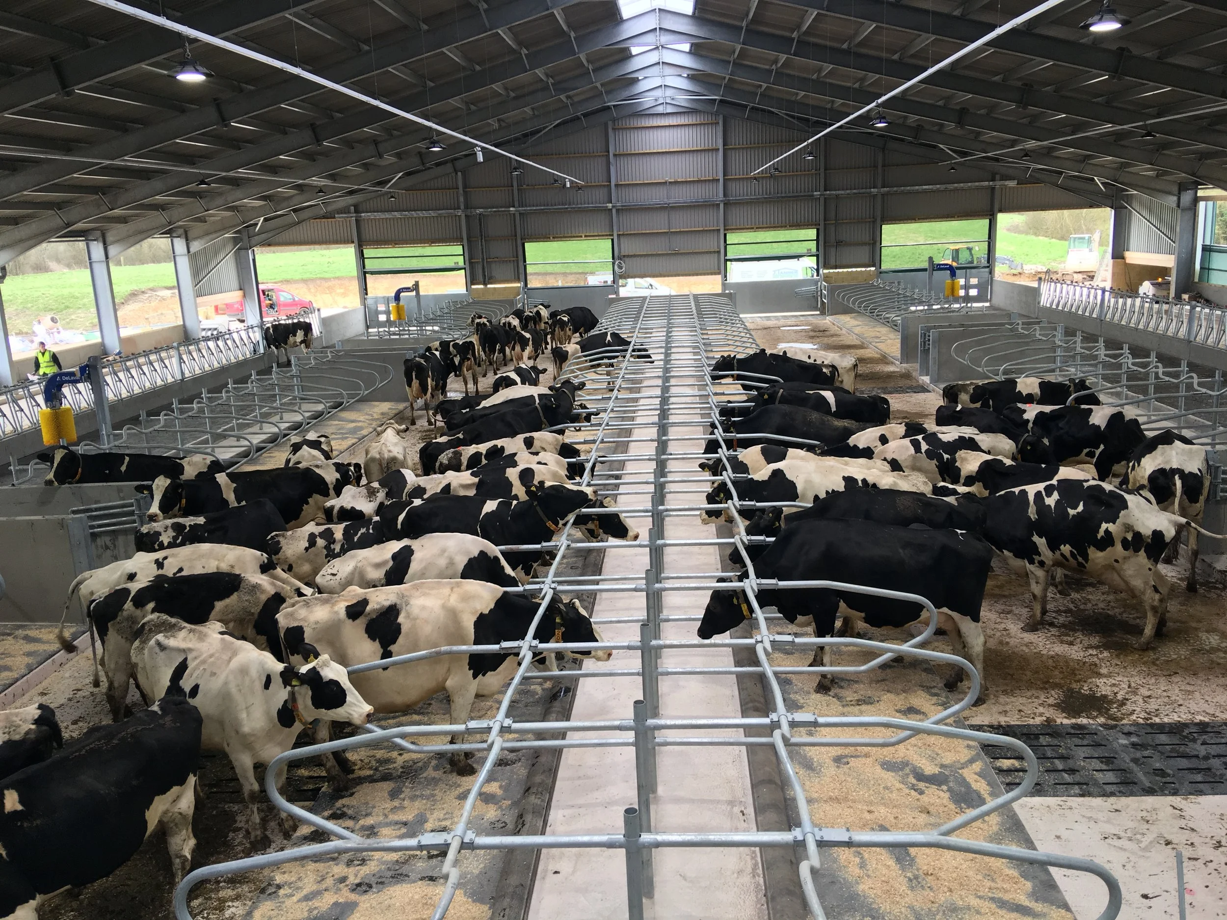 Inside a modern dairy barn with black and white cows feeding, resting, and walking, with a metal roof and open sides showing green pastures outside.