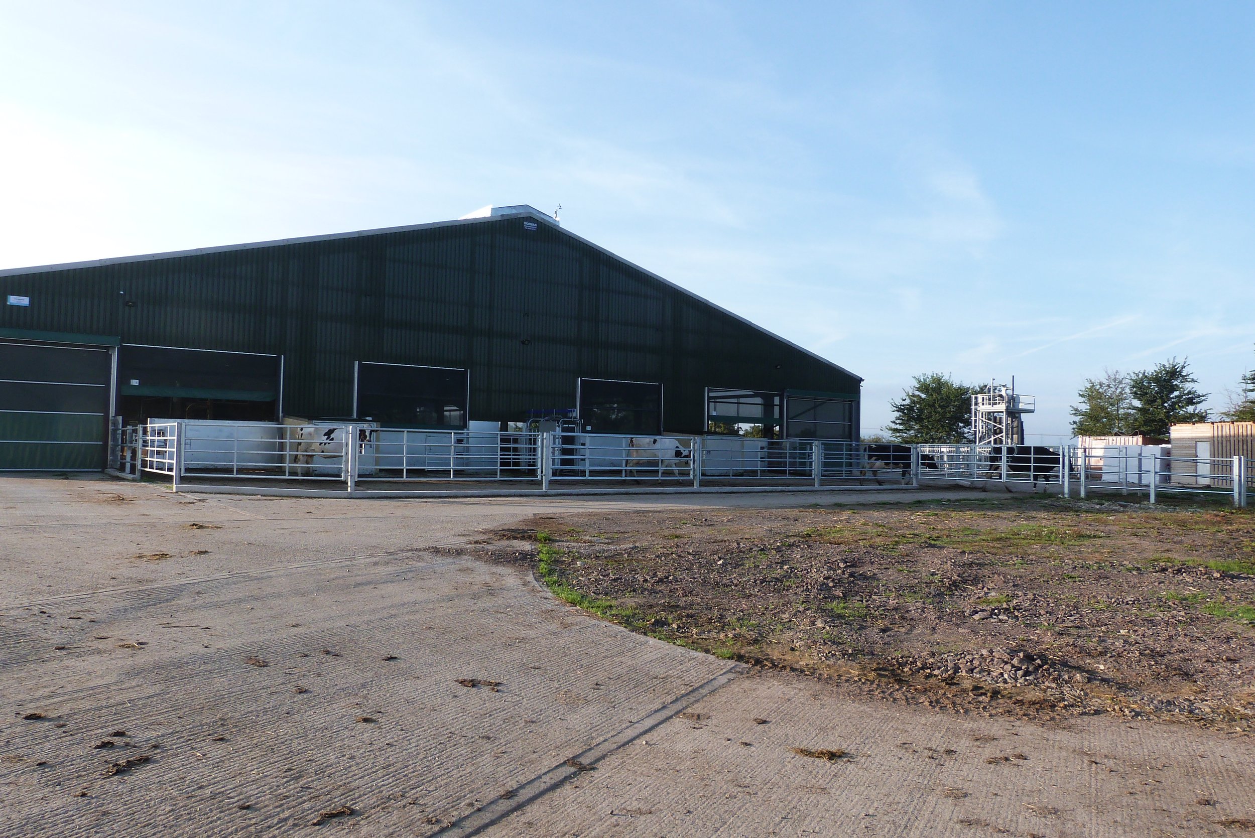 A farm building with a dark green metal roof and large open doorways, surrounded by white rail fences, with cows visible inside and some trees in the background.