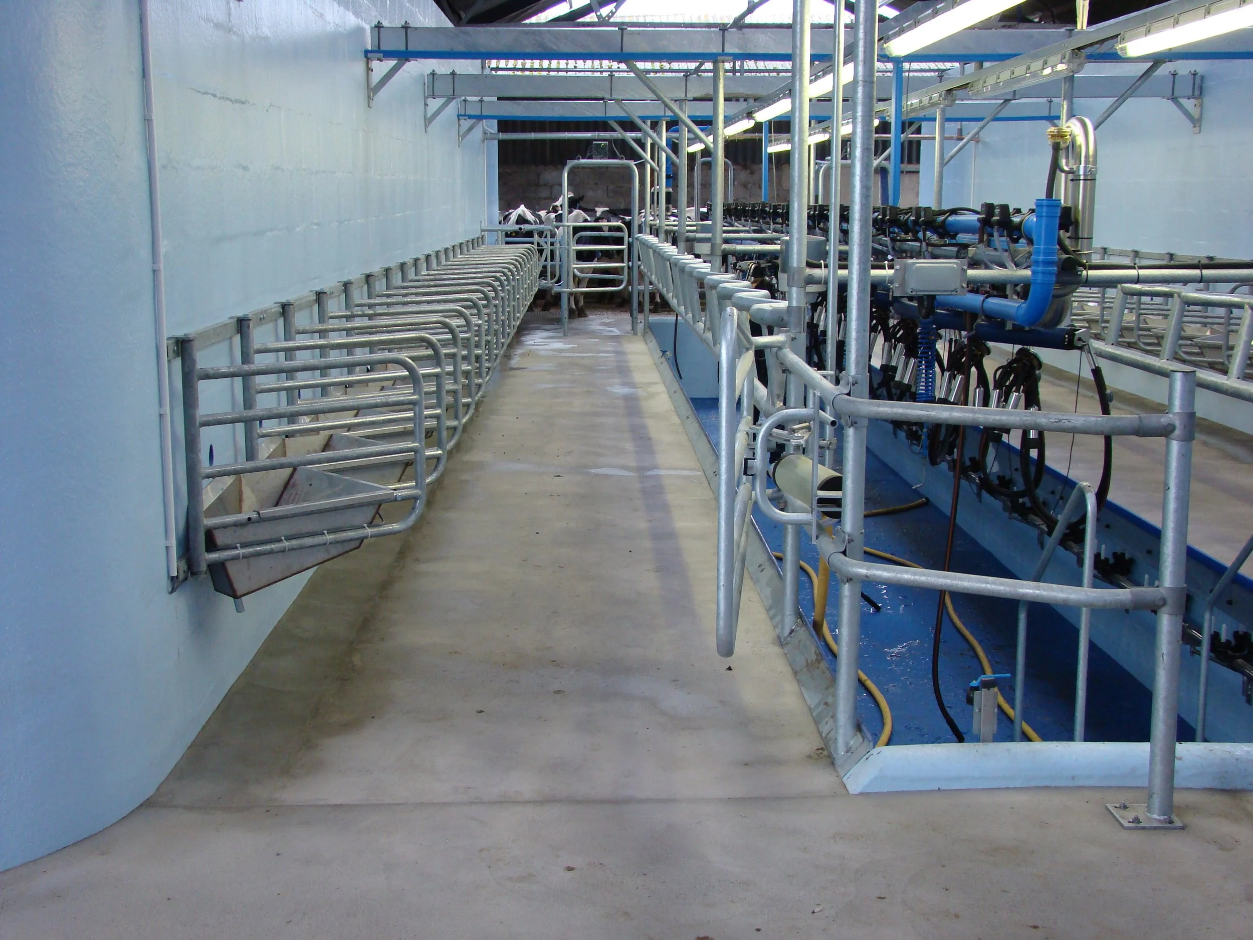 Interior of a dairy barn with milking equipment, including milking stalls on the left and machinery on the right, with a walkway in the middle.
