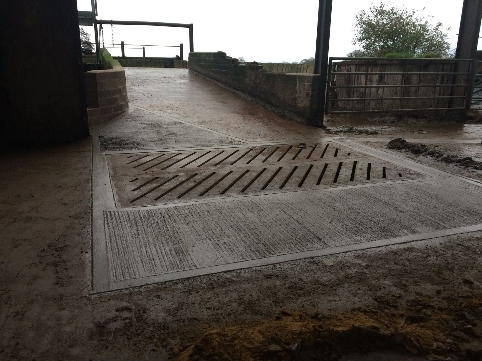 A wet concrete driveway with a metal drainage grate in the center, leading to an outdoor area with a metal gate and fence, under a covered structure.