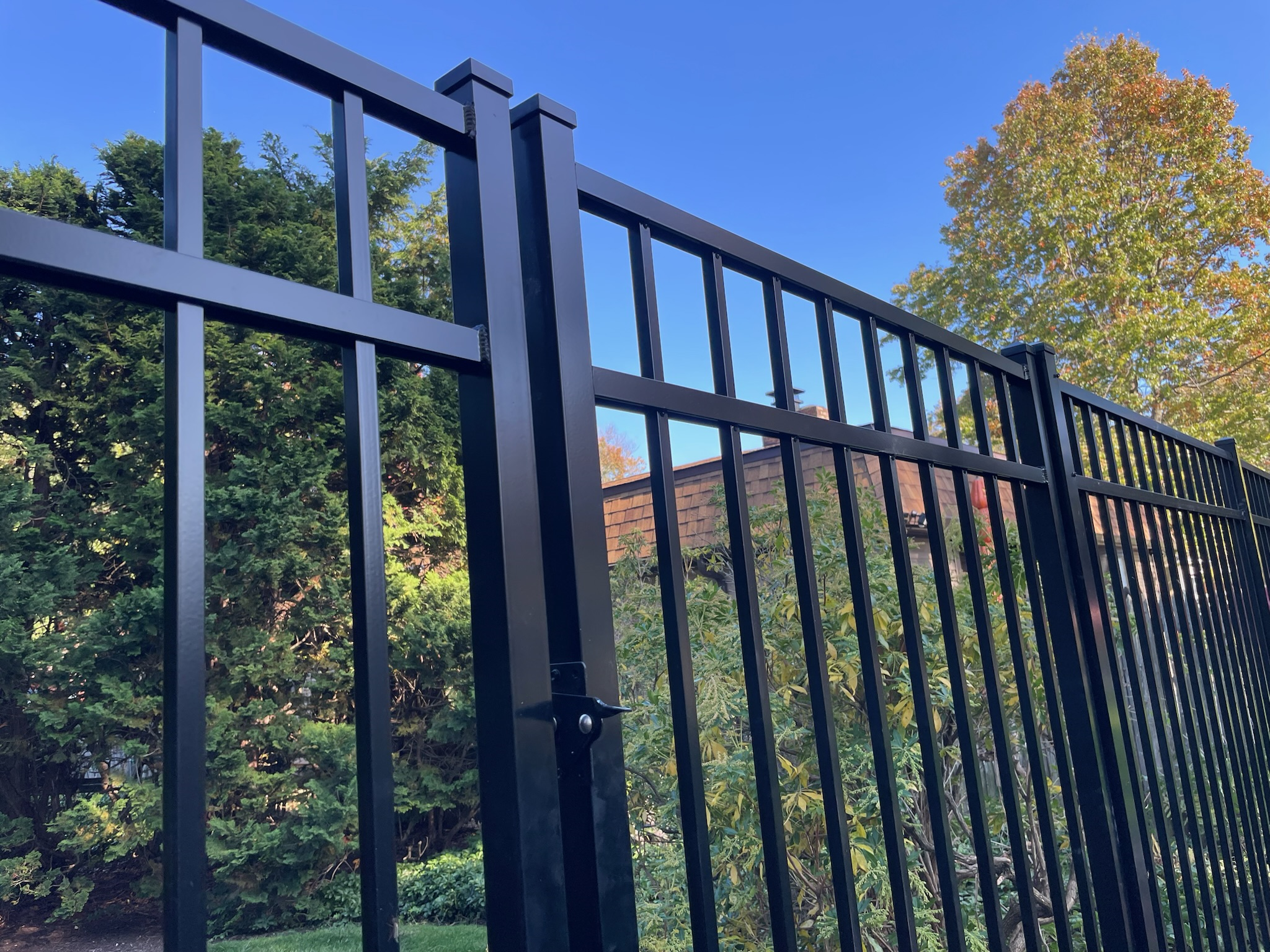 Close-up of a black metal fence with greenery and trees behind it and a house roof visible in the background, against a clear blue sky.