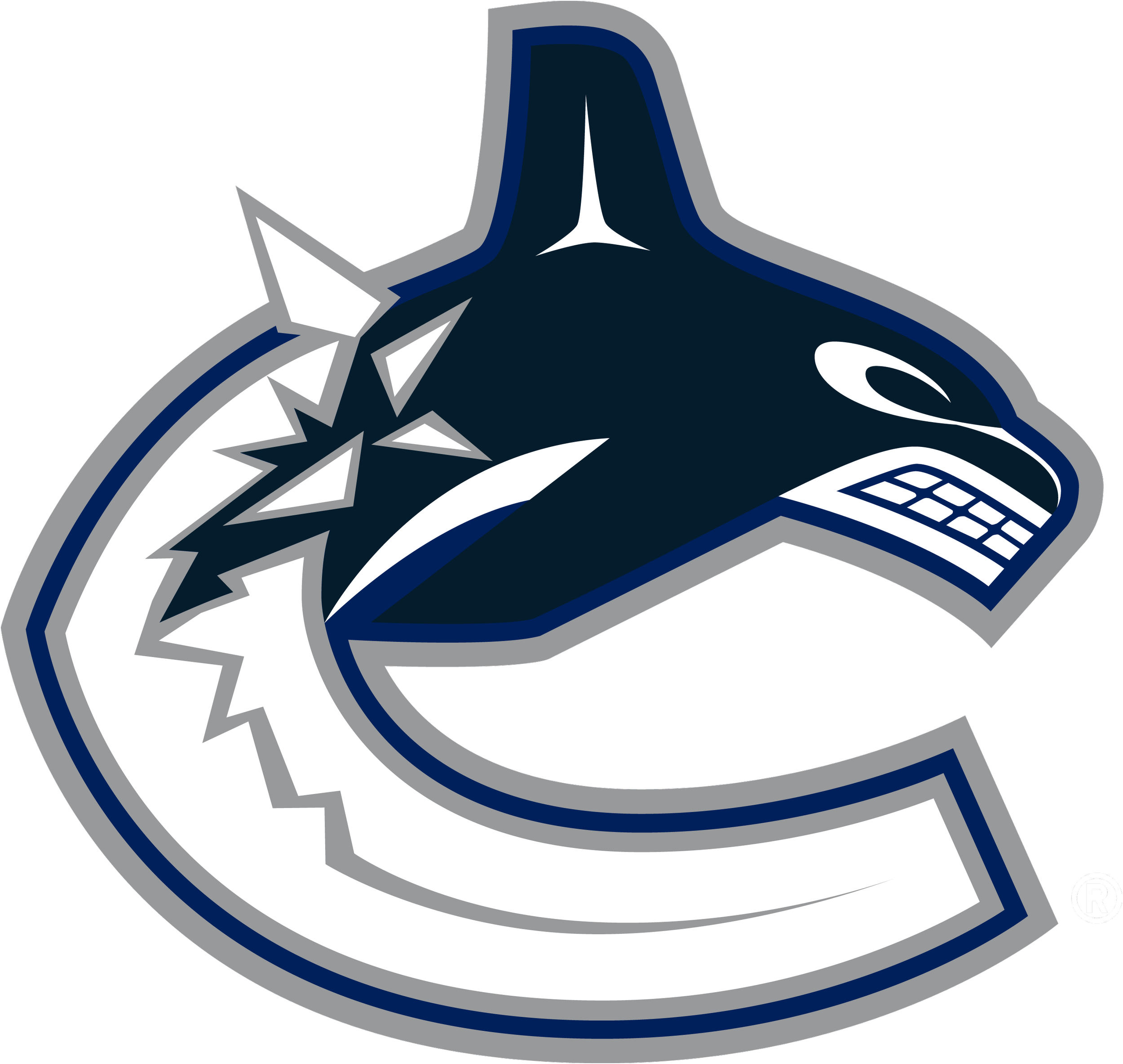 Logo featuring a stylized orca whale breaking through ice, forming a letter "C" shape with bold colors.