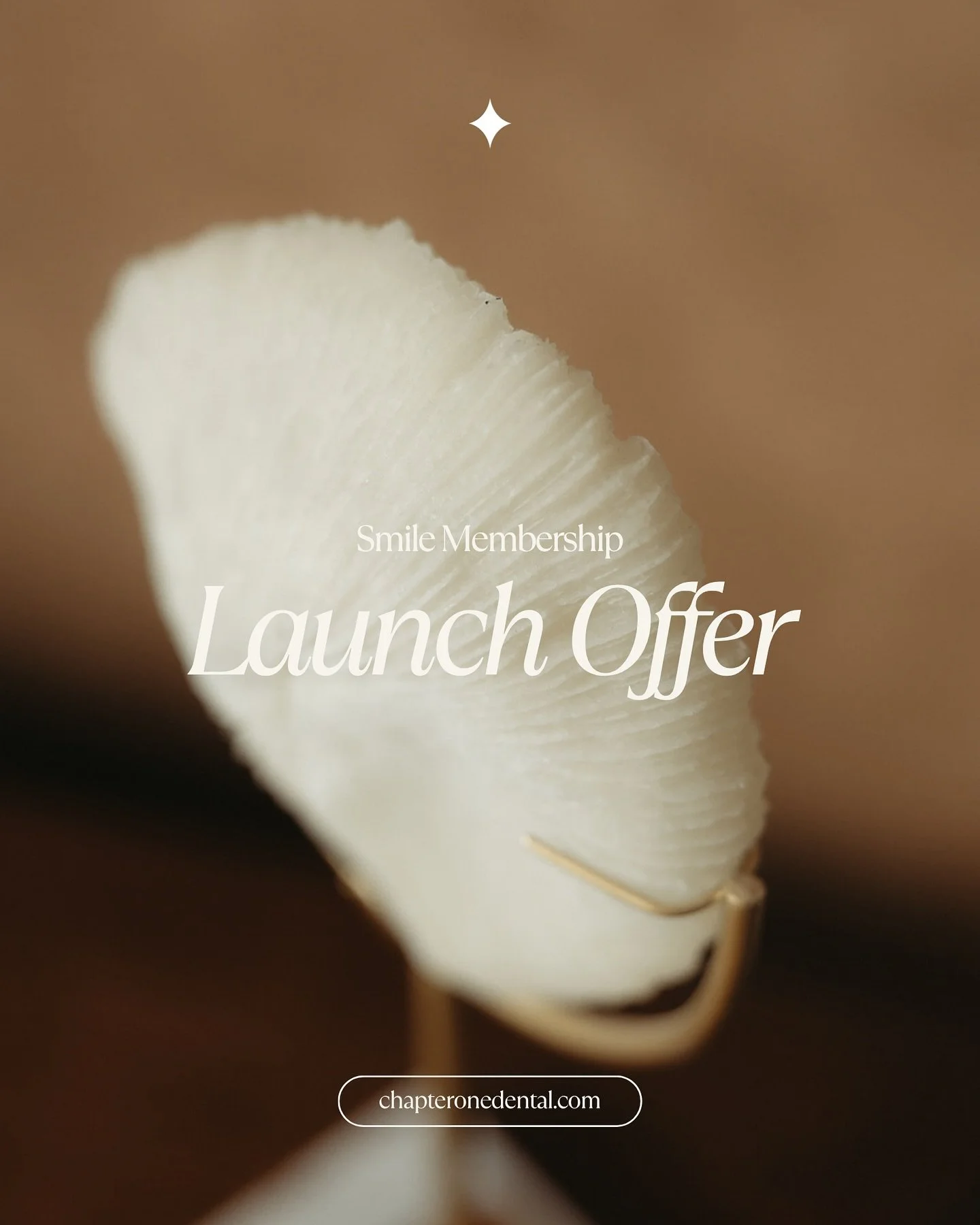 ✨ 50% off Launch Offer ✨

Our Smile Memberships are designed for those who take their smiles seriously, and appreciate that great dental care is about more than ~just~ a check-up.

Every appointment, question, or emergency is handled by us, so you ca