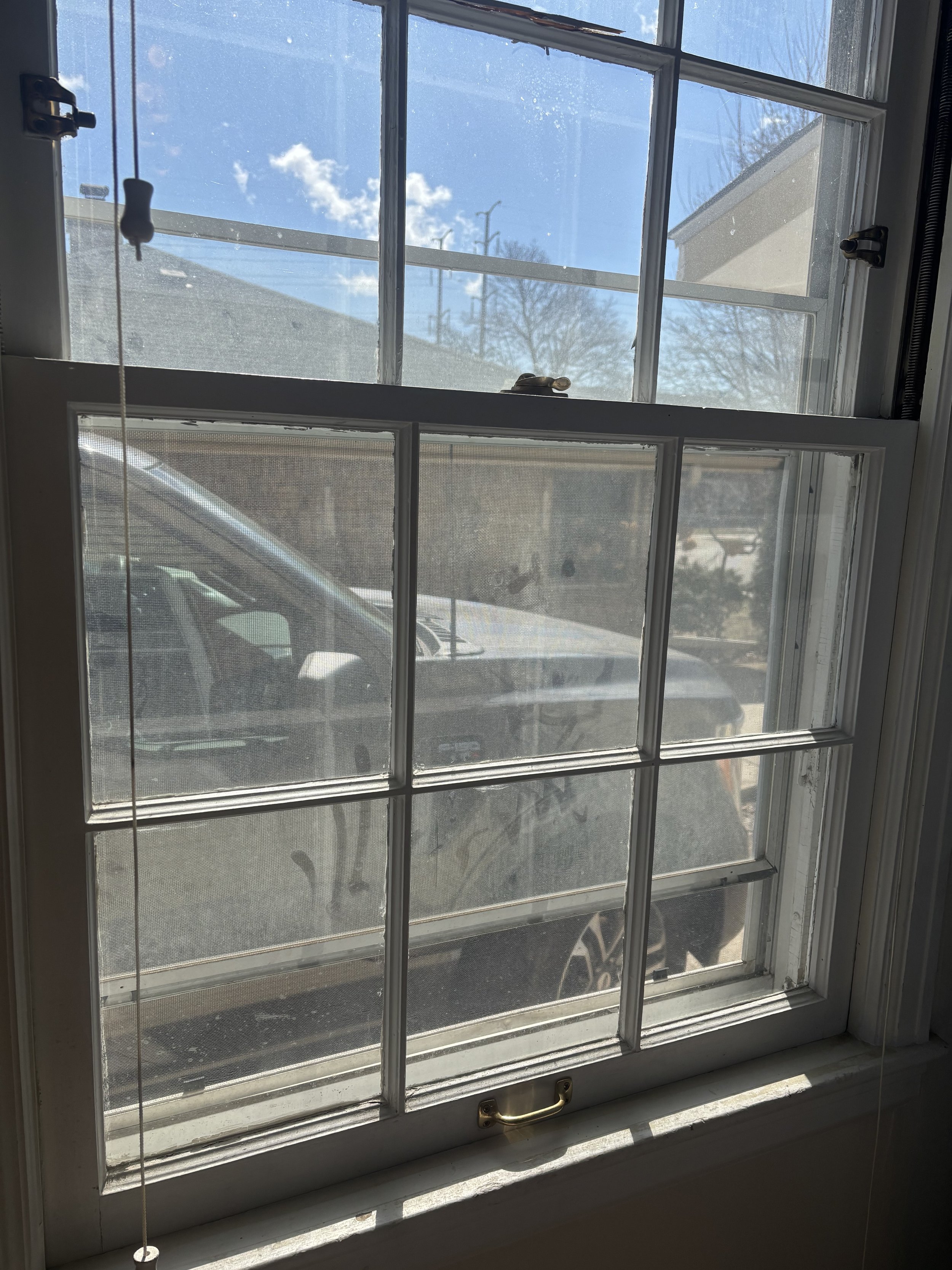 IMG_7945.jpeg
