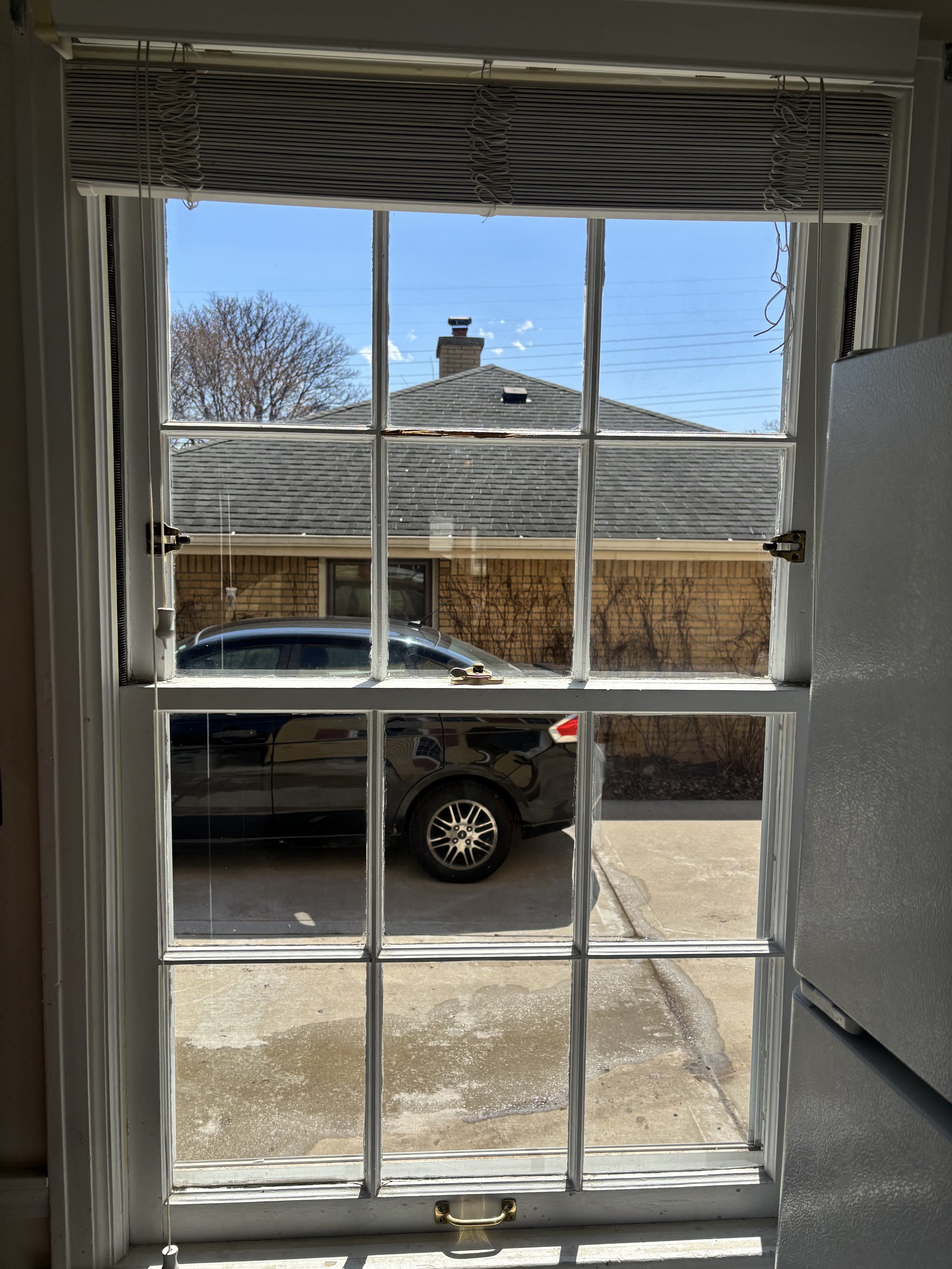 IMG_8083.jpeg