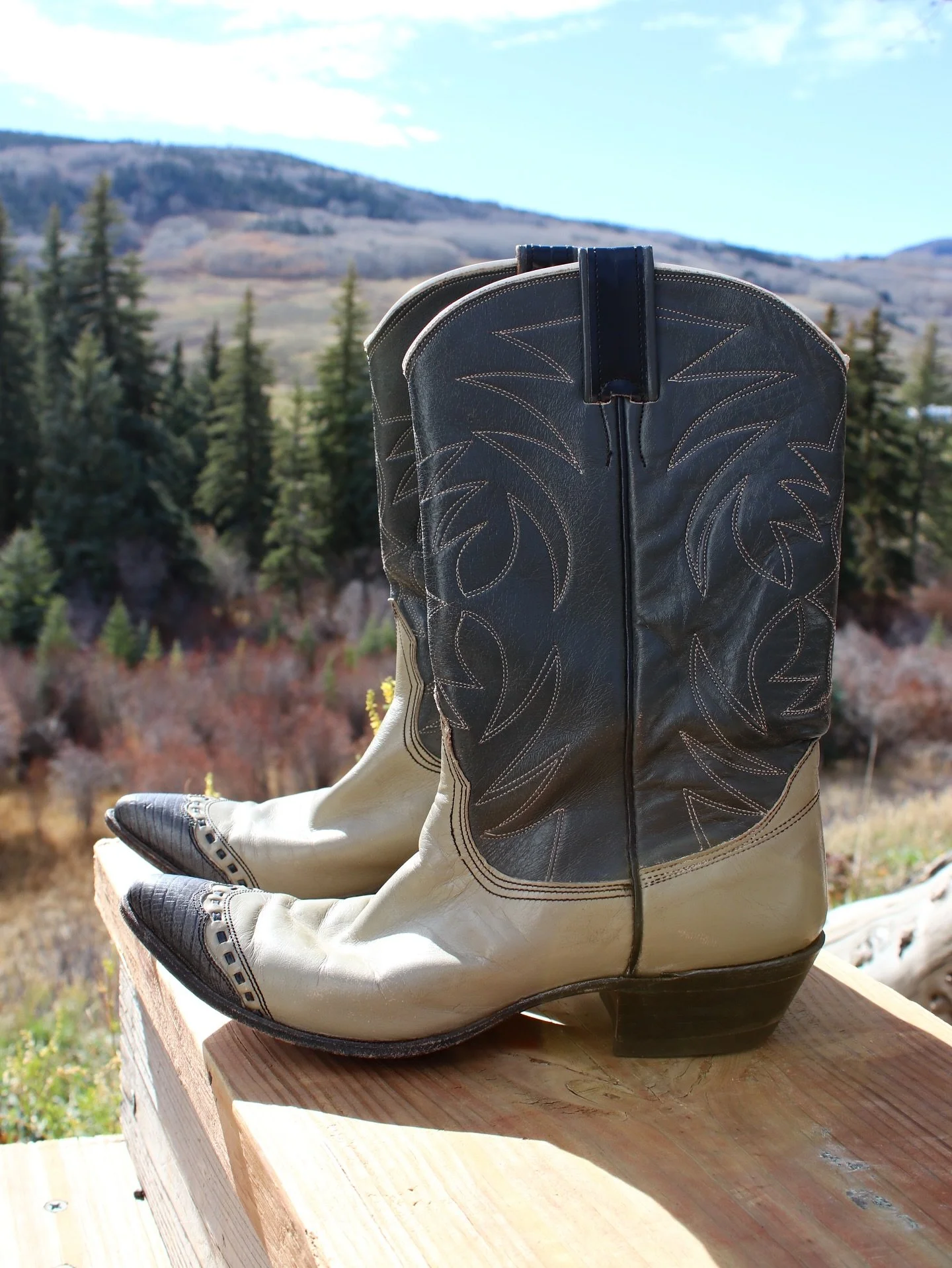 Vintage two-tone cowgirl dreams 🤠🖤

These leather beauties have just the right mix of grit and grace &mdash; buttery beige with a stitched charcoal shaft and tooled toe detail that gives them serious statement energy.

We&rsquo;ve got a bunch of vi