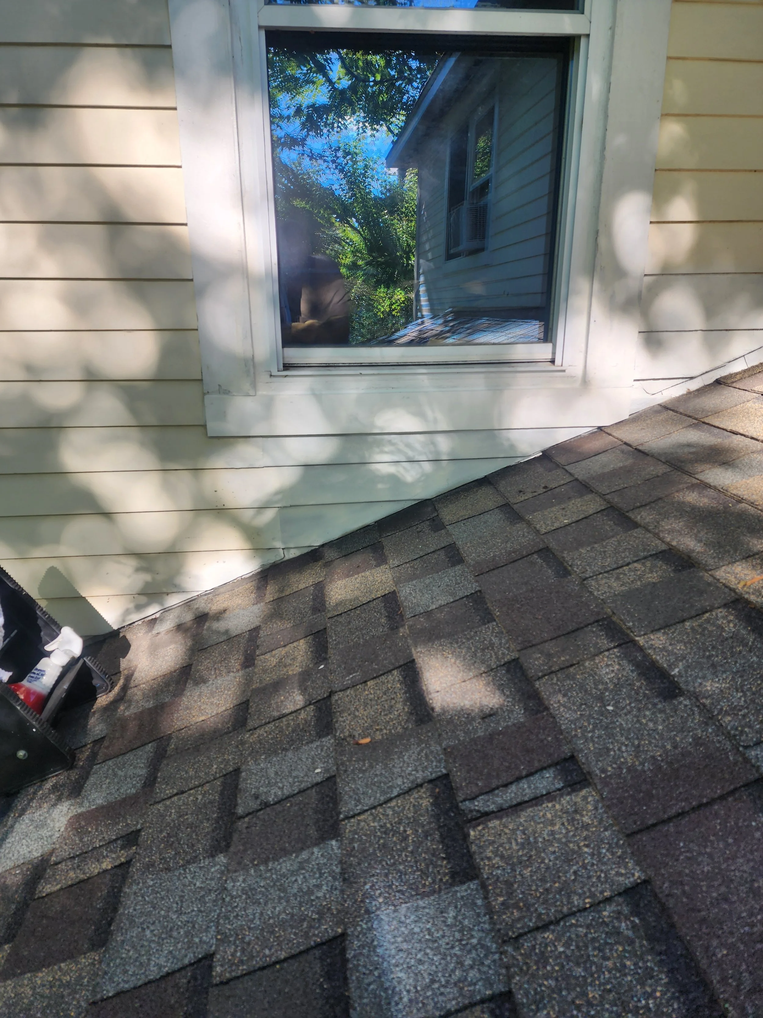 View of a house exterior with beige siding, a white-framed window, and a shingled roof, with trees and sky reflecting in the window glass.