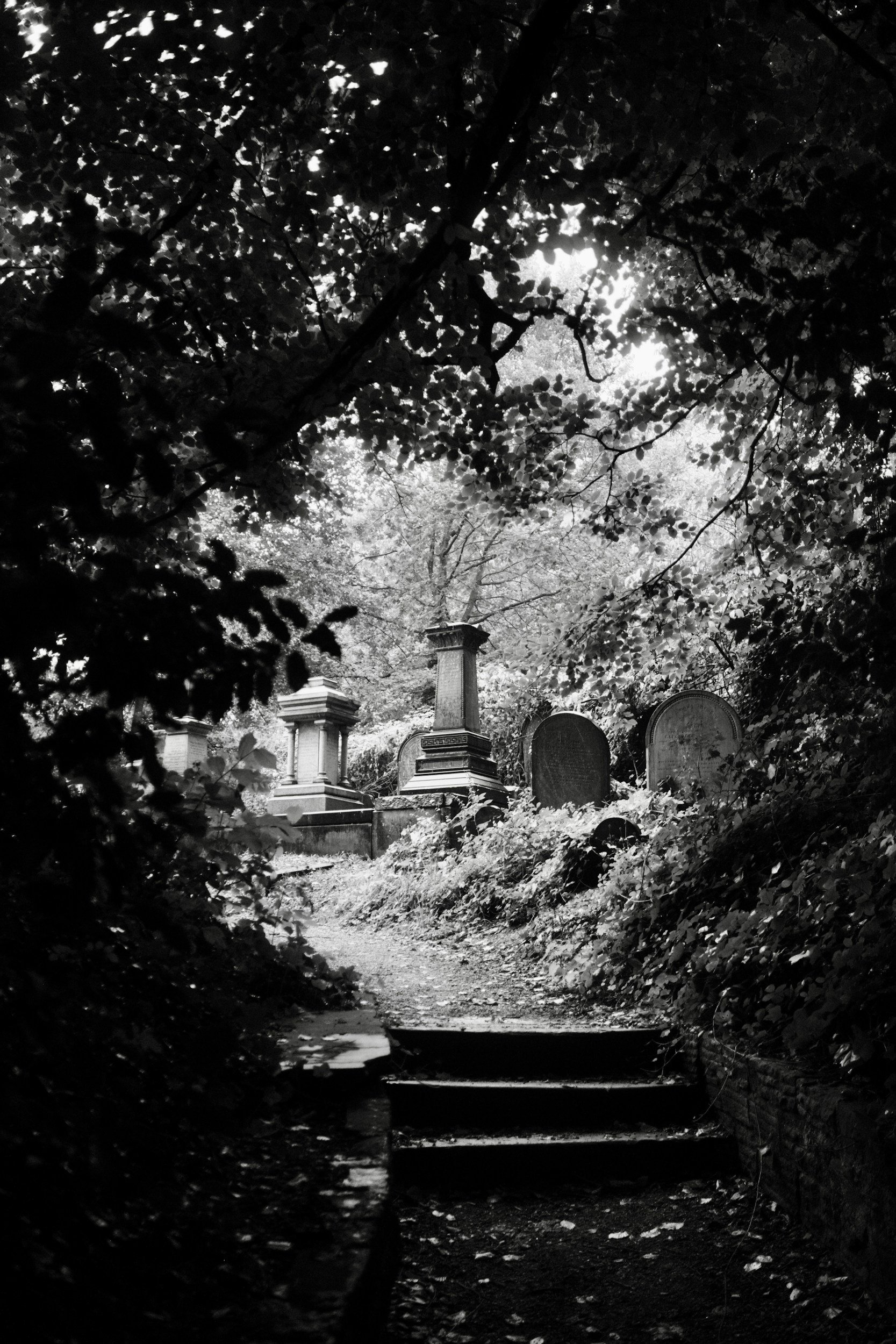 Black and white photograph of a cemetery with tombstones, a pathway, and a tree canopy overhead, sunlight filtering through the leaves.
