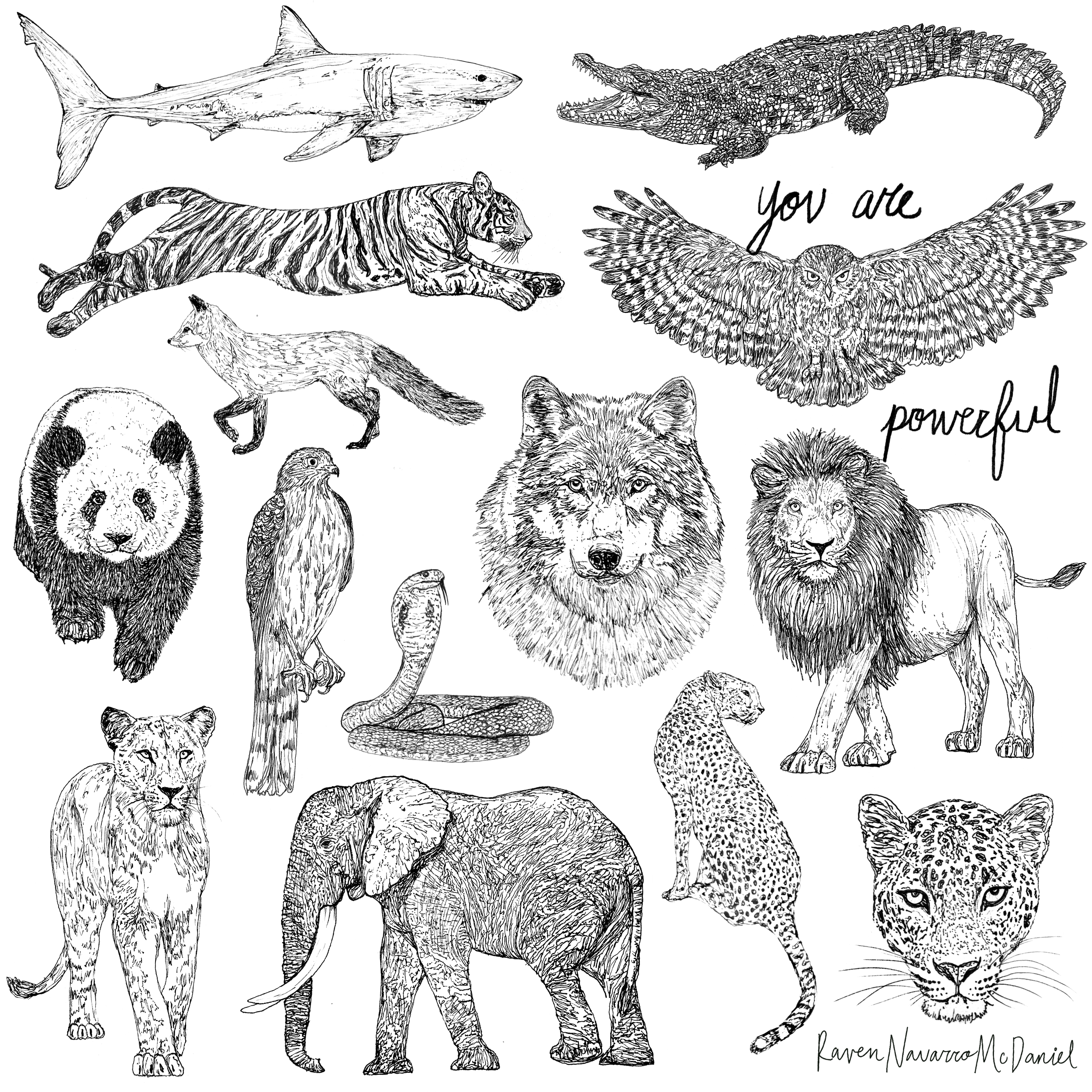 POWERFUL ANIMALS