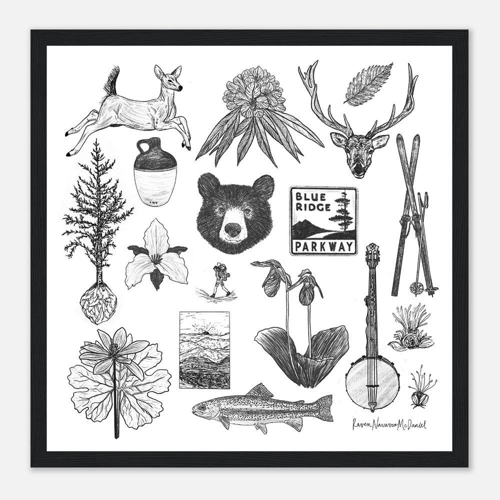 WESTERN NORTH CAROLINA ILLUSTRATIONS