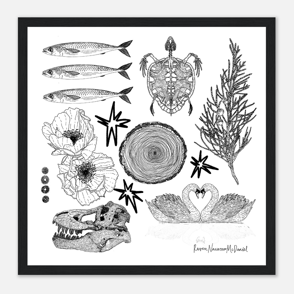 MAGIC ILLUSTRATIONS