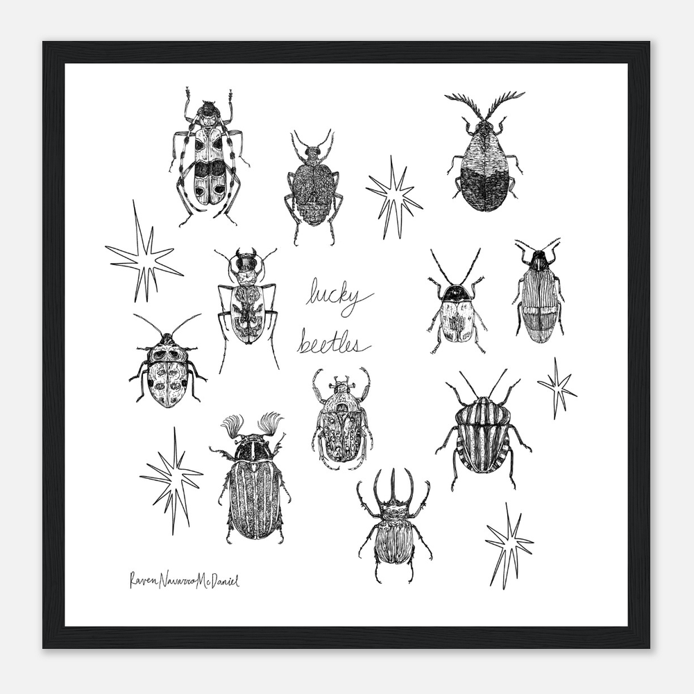 LUCKY BEETLES ILLUSTRATIONS