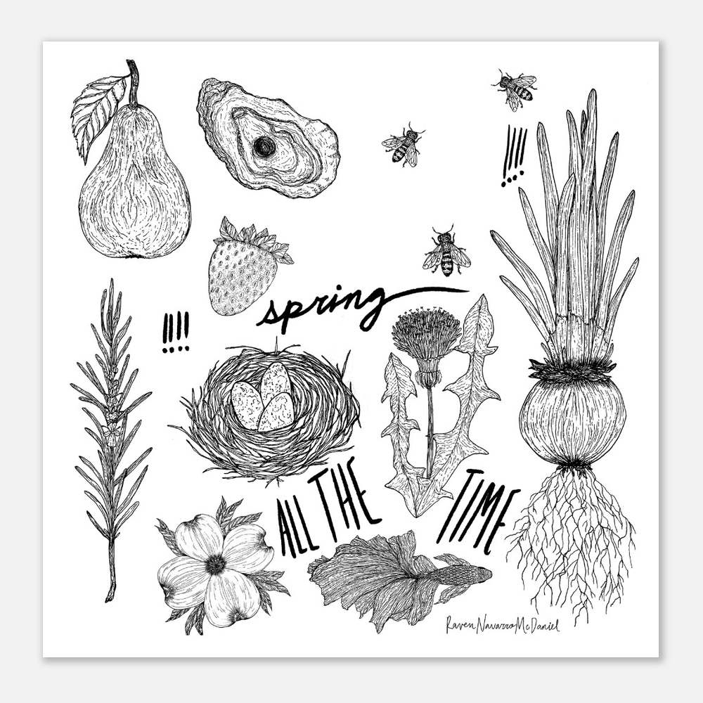 SPRING ILLUSTRATIONS
