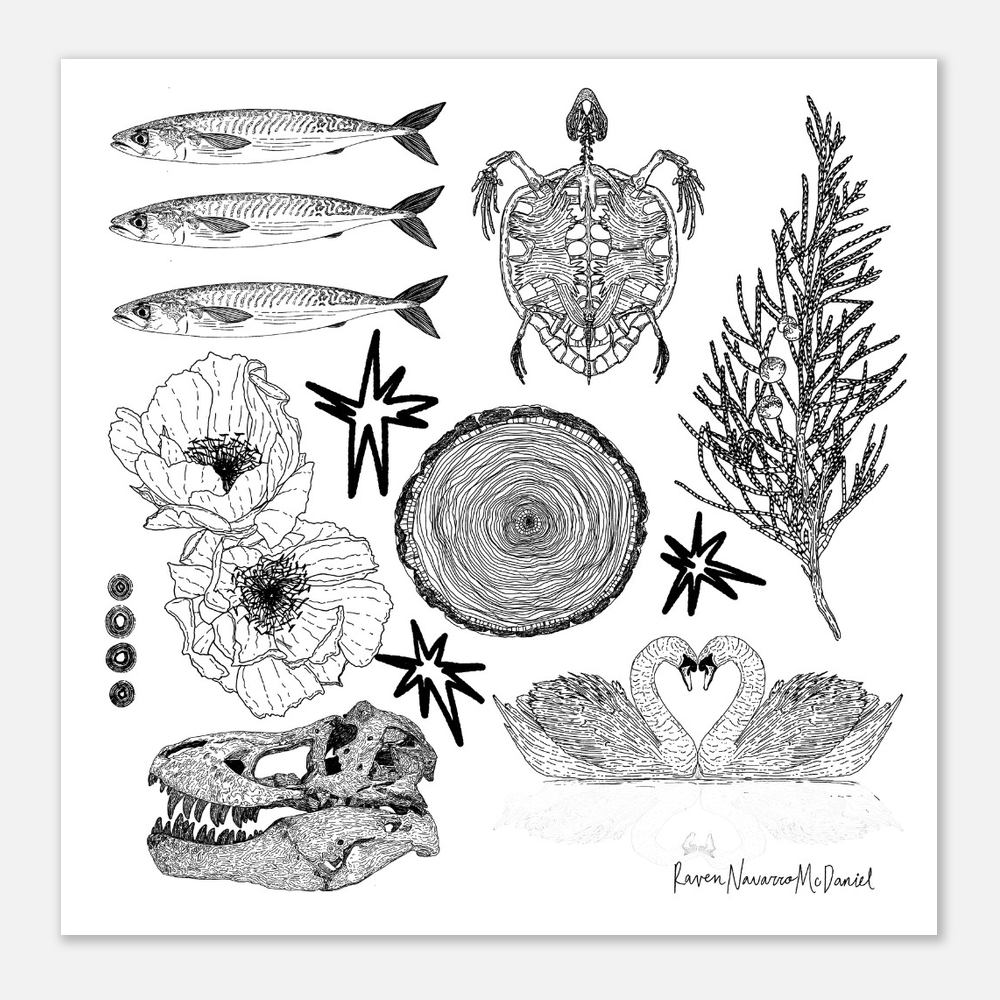 MAGIC  ILLUSTRATIONS