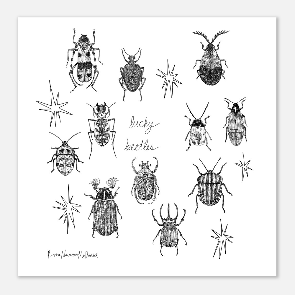 LUCKY BEETLES ILLUSTRATIONS