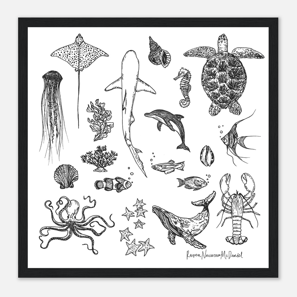 OCEAN ILLUSTRATIONS