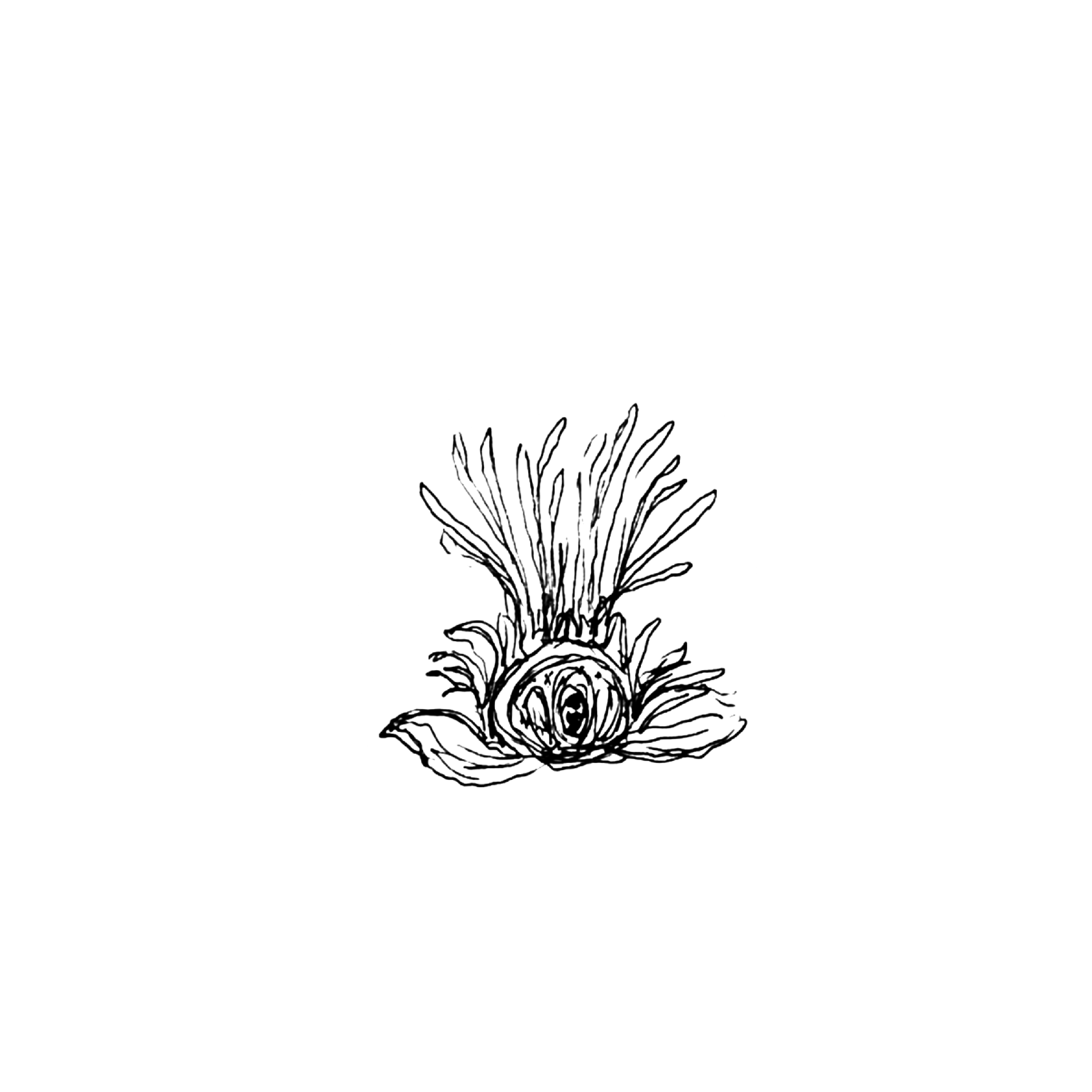 BRUSH.png