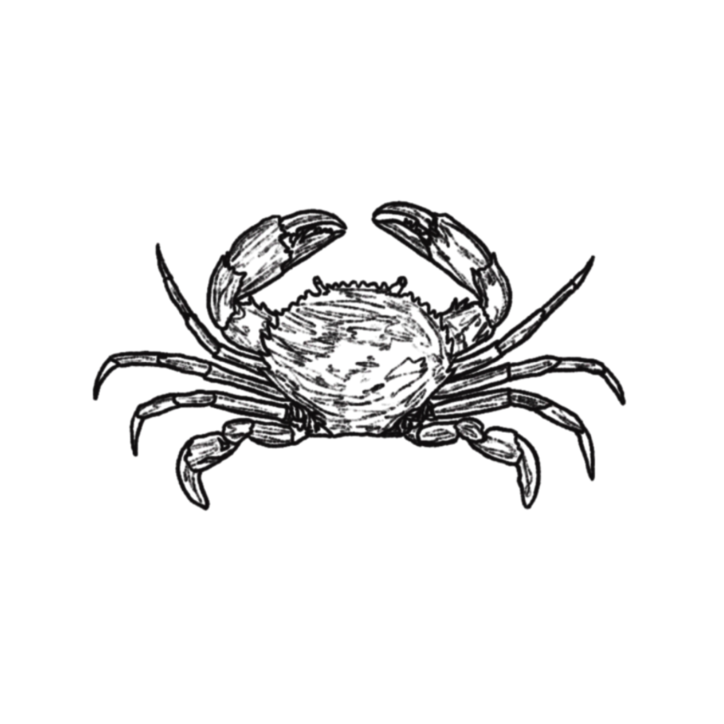 CRABBY.png