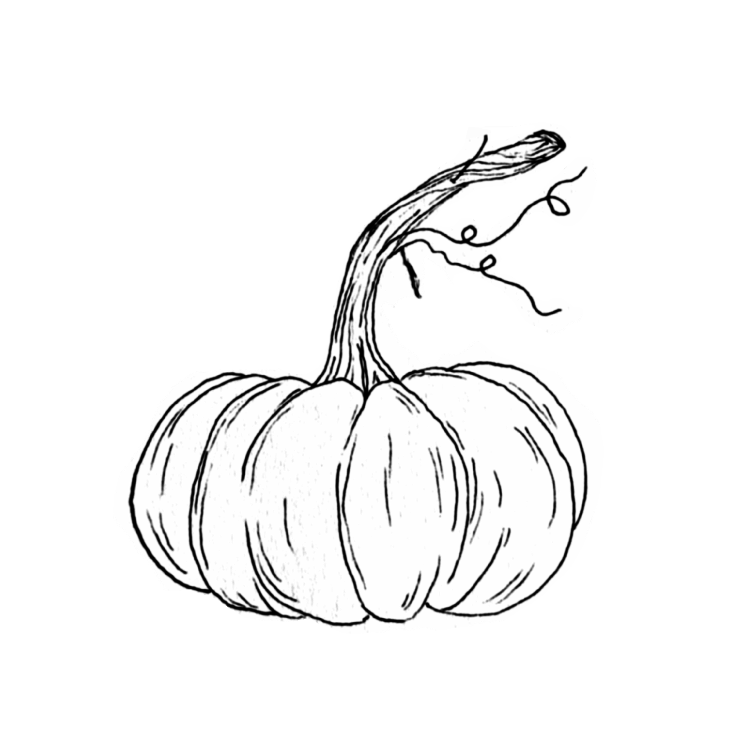 PUMPKIN.png