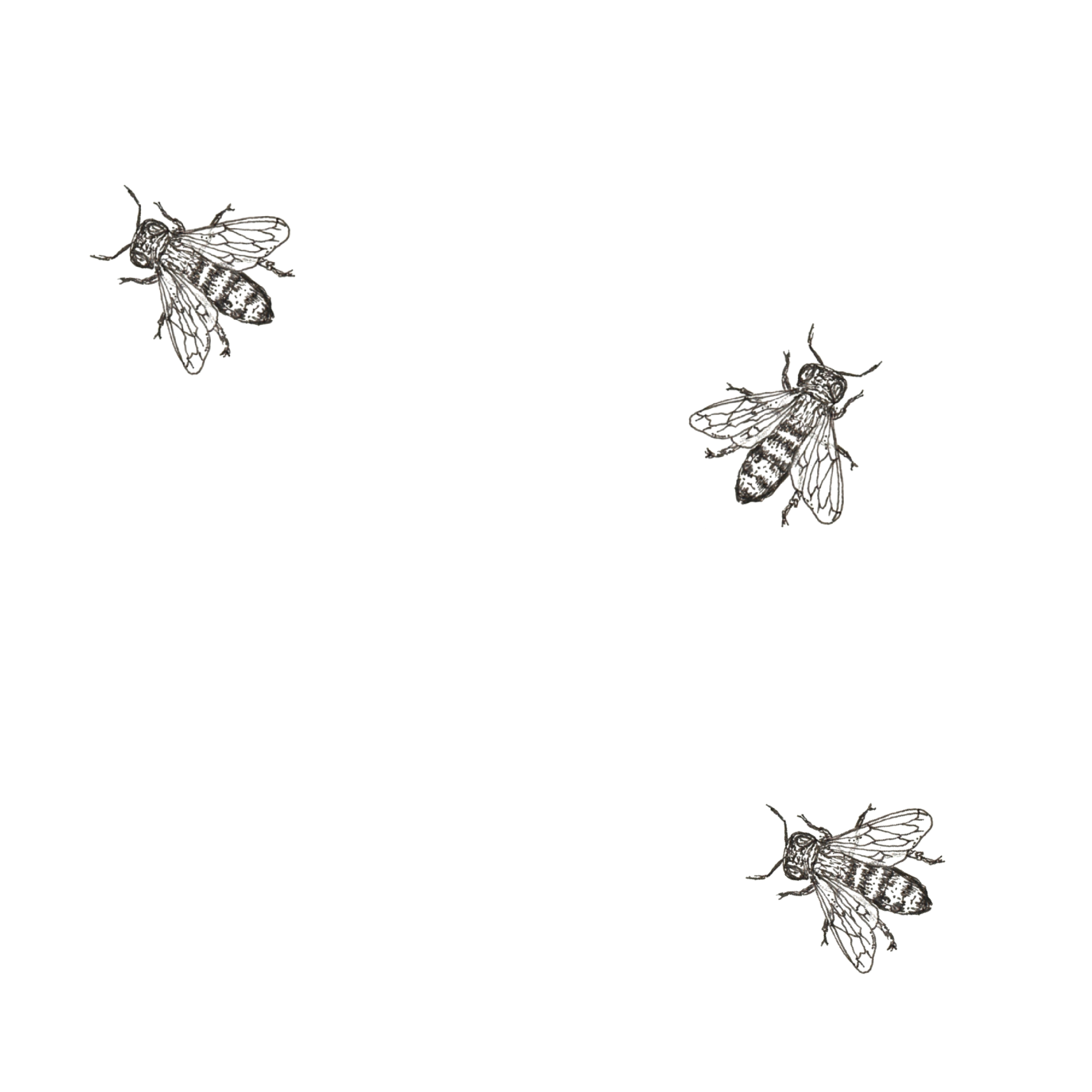 THREE BEES.png