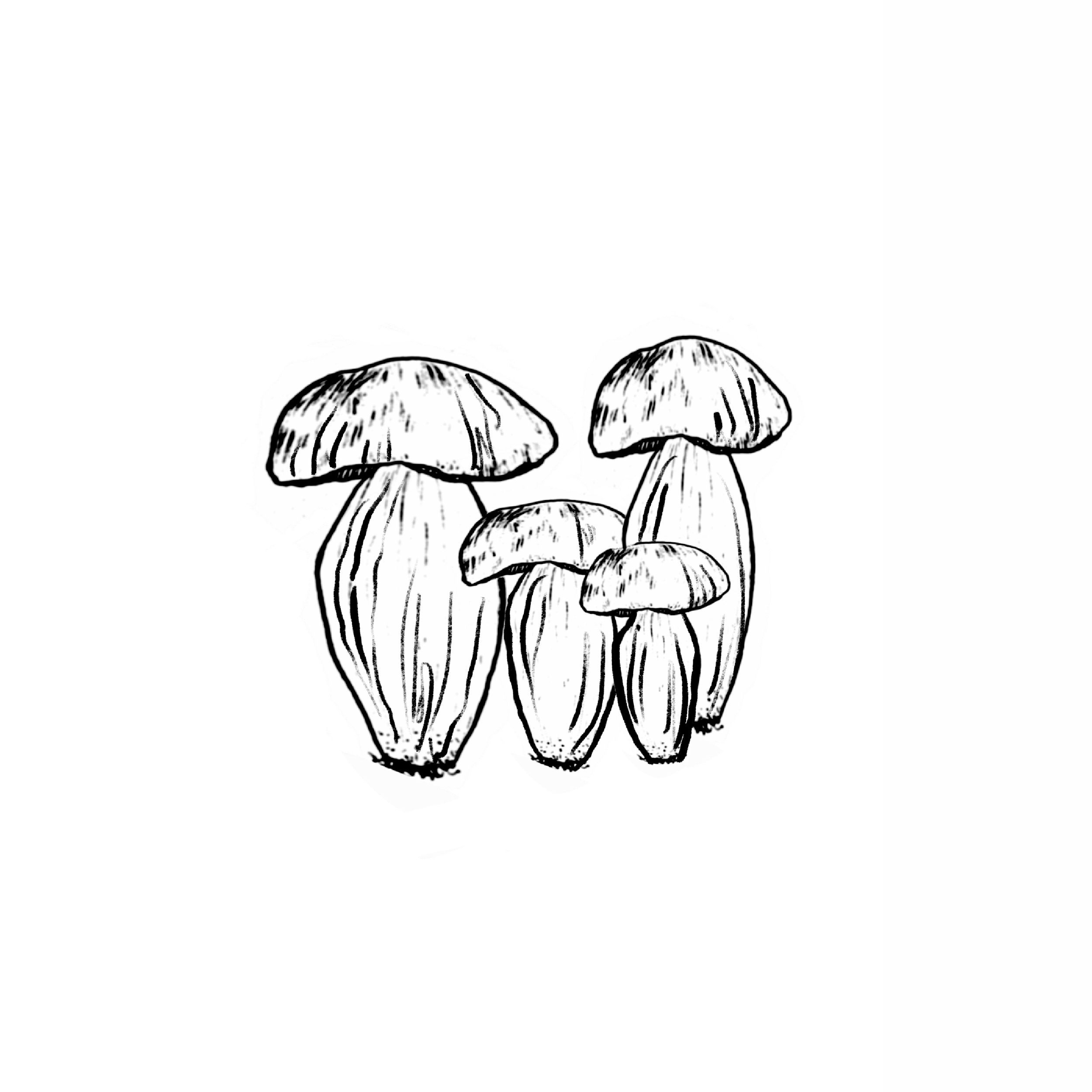 MUSHROOMS.png
