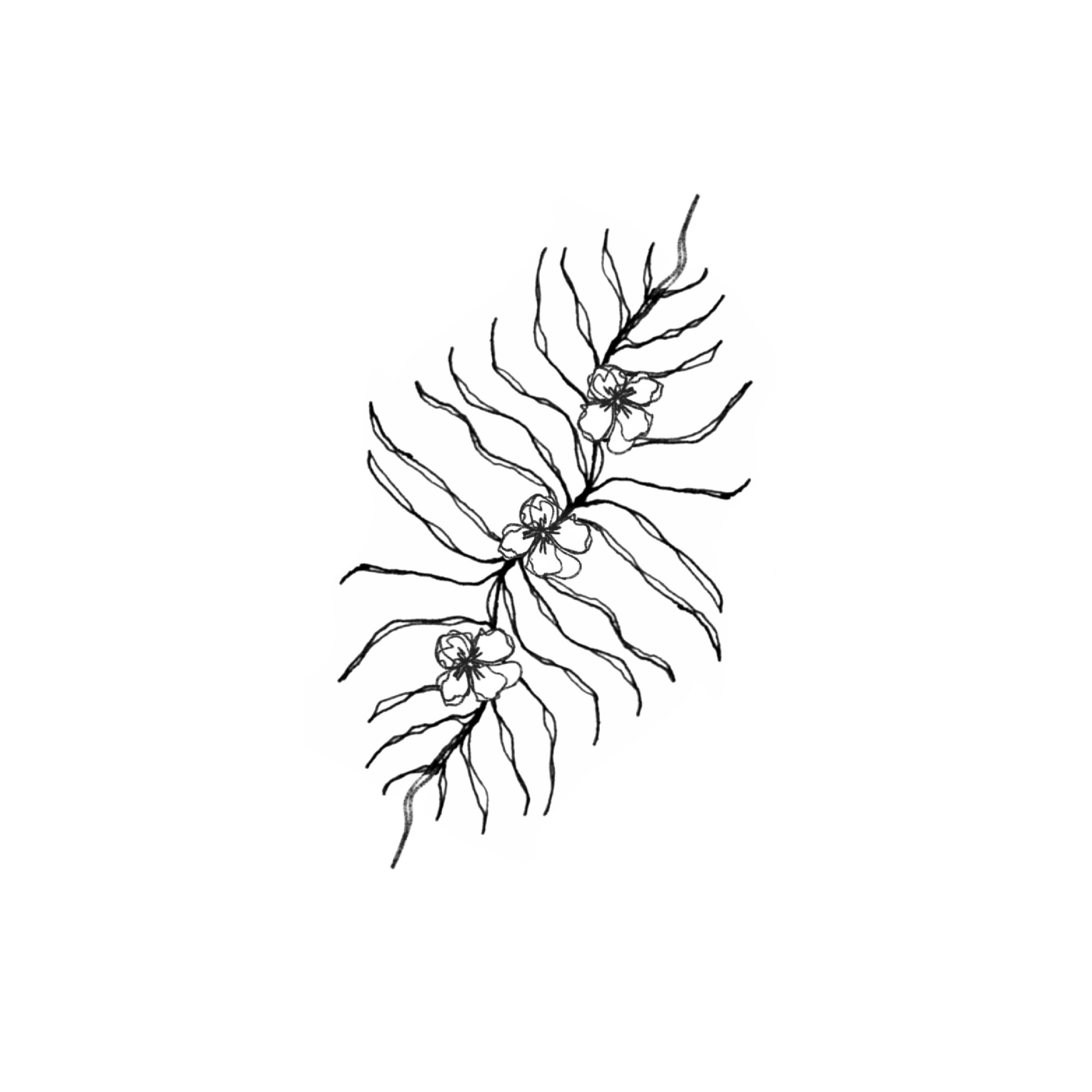 FLOWER CRAWLY.png
