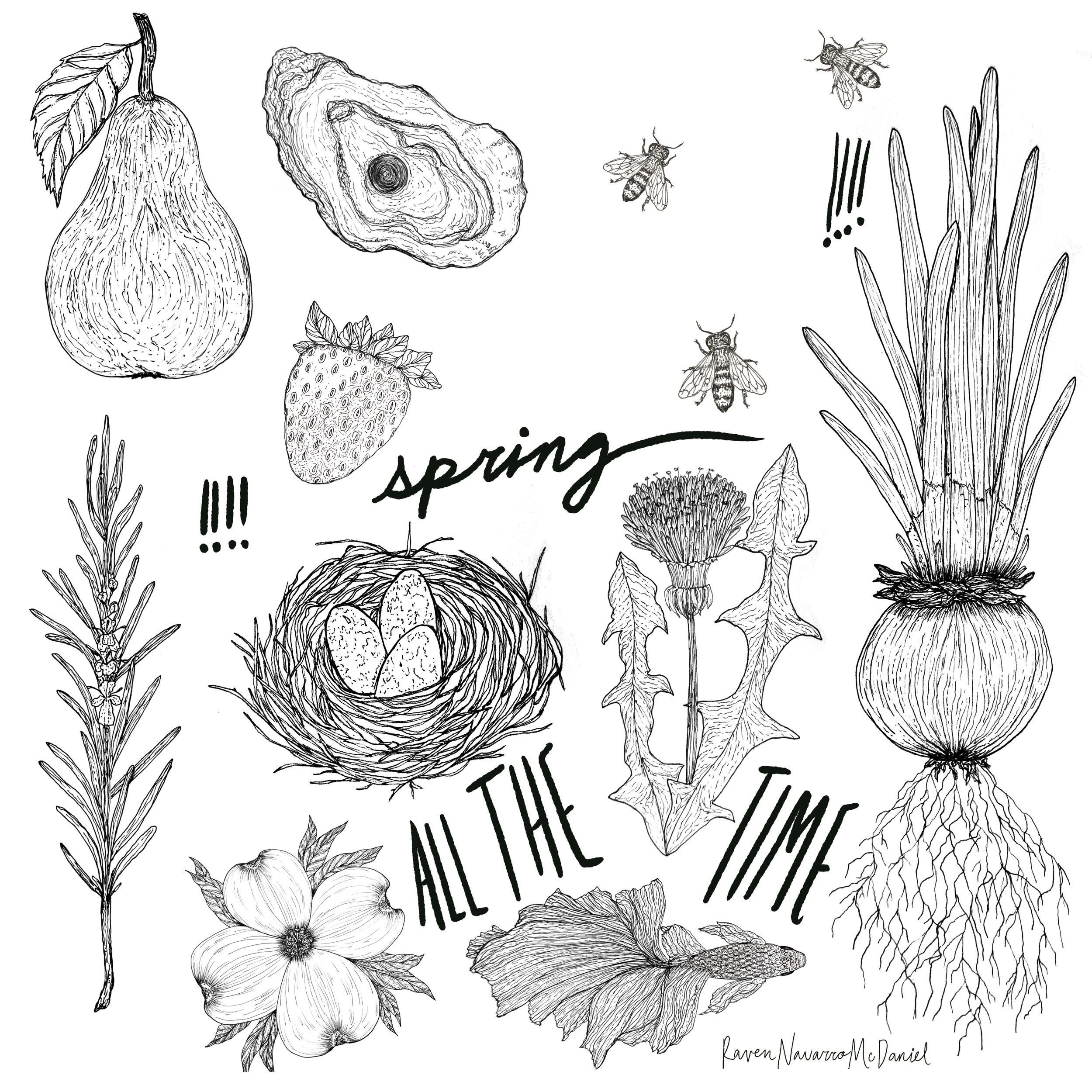 SPRING