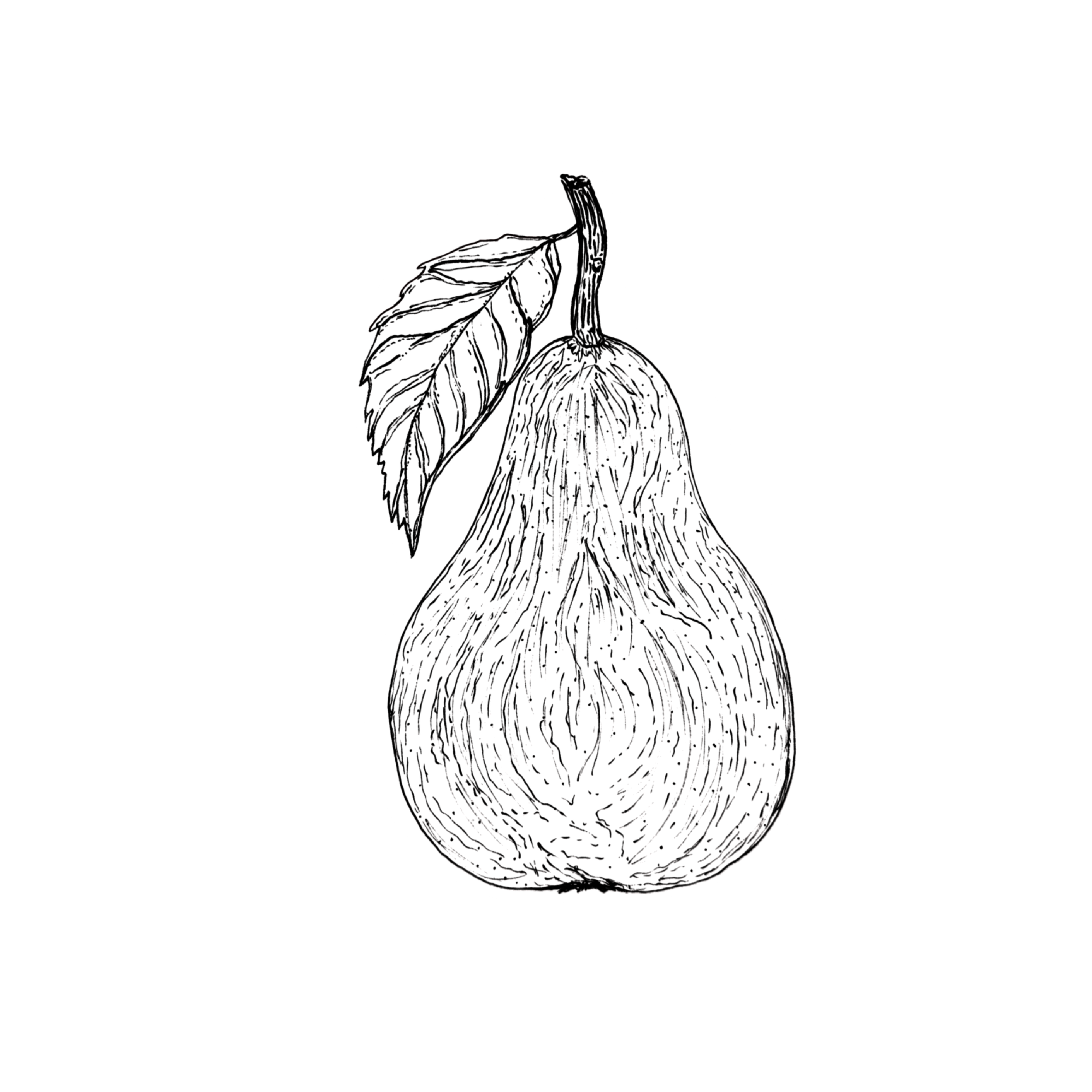PEAR.png