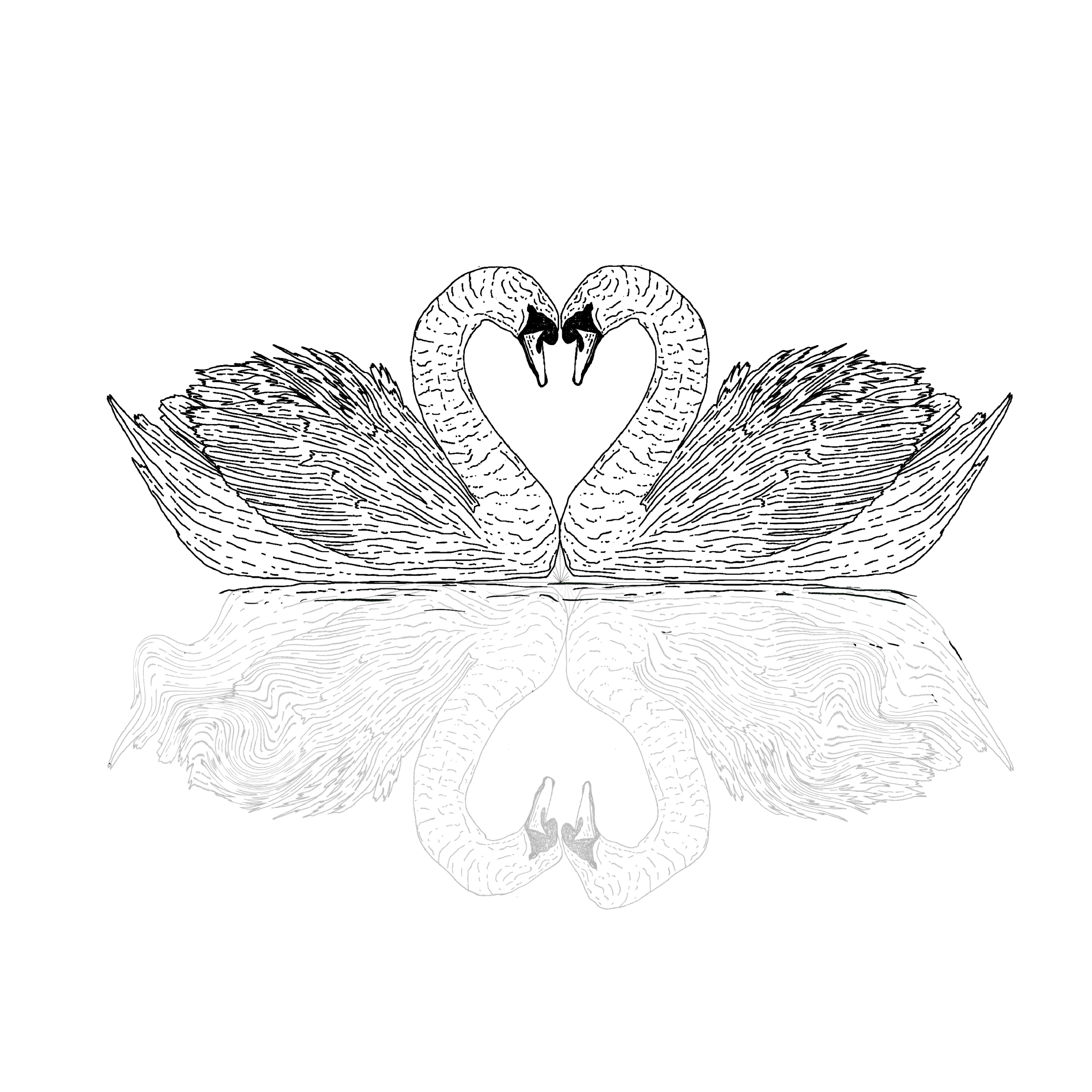 SWANLAKE.png