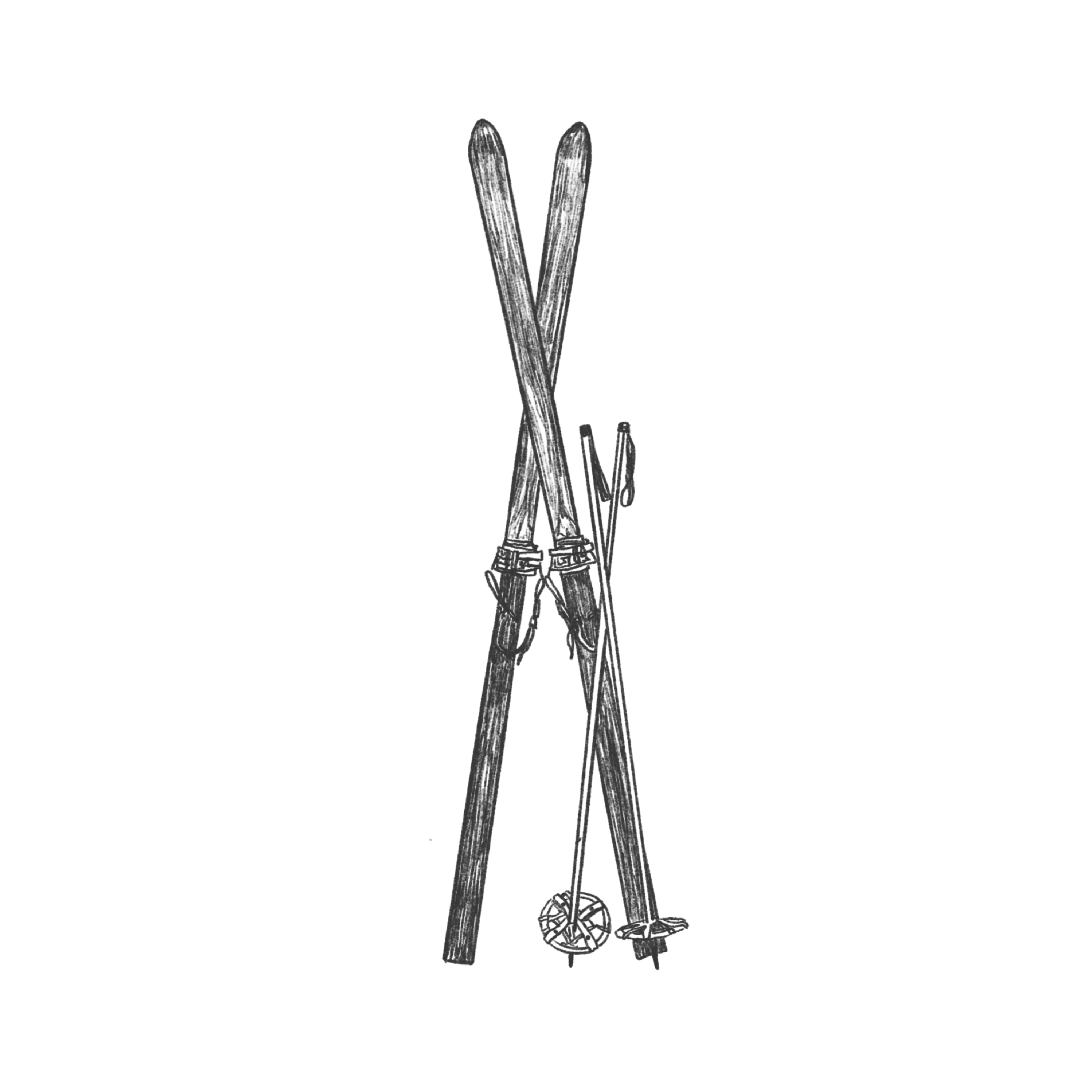 SKIS.png