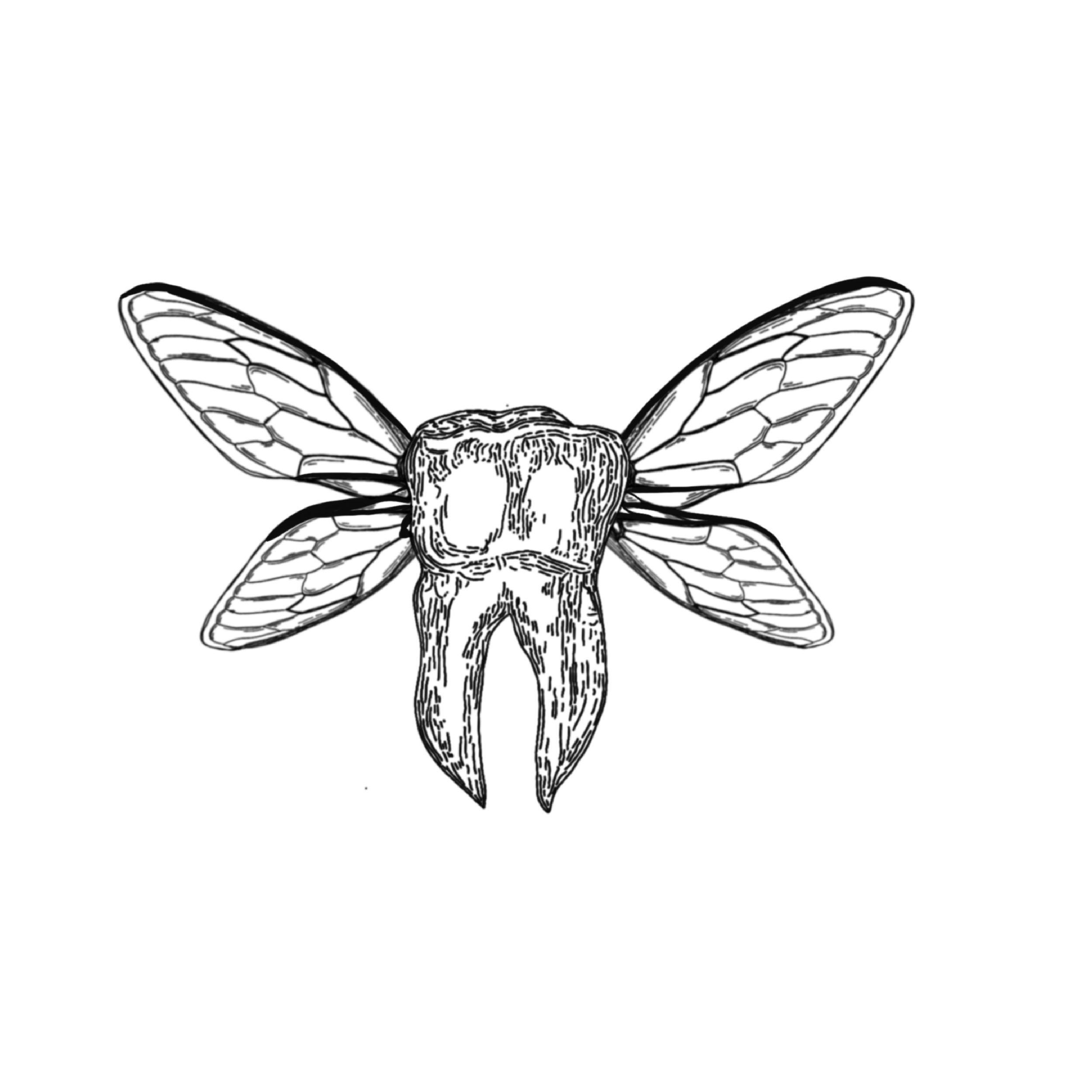 TOOTH FAIRY.png