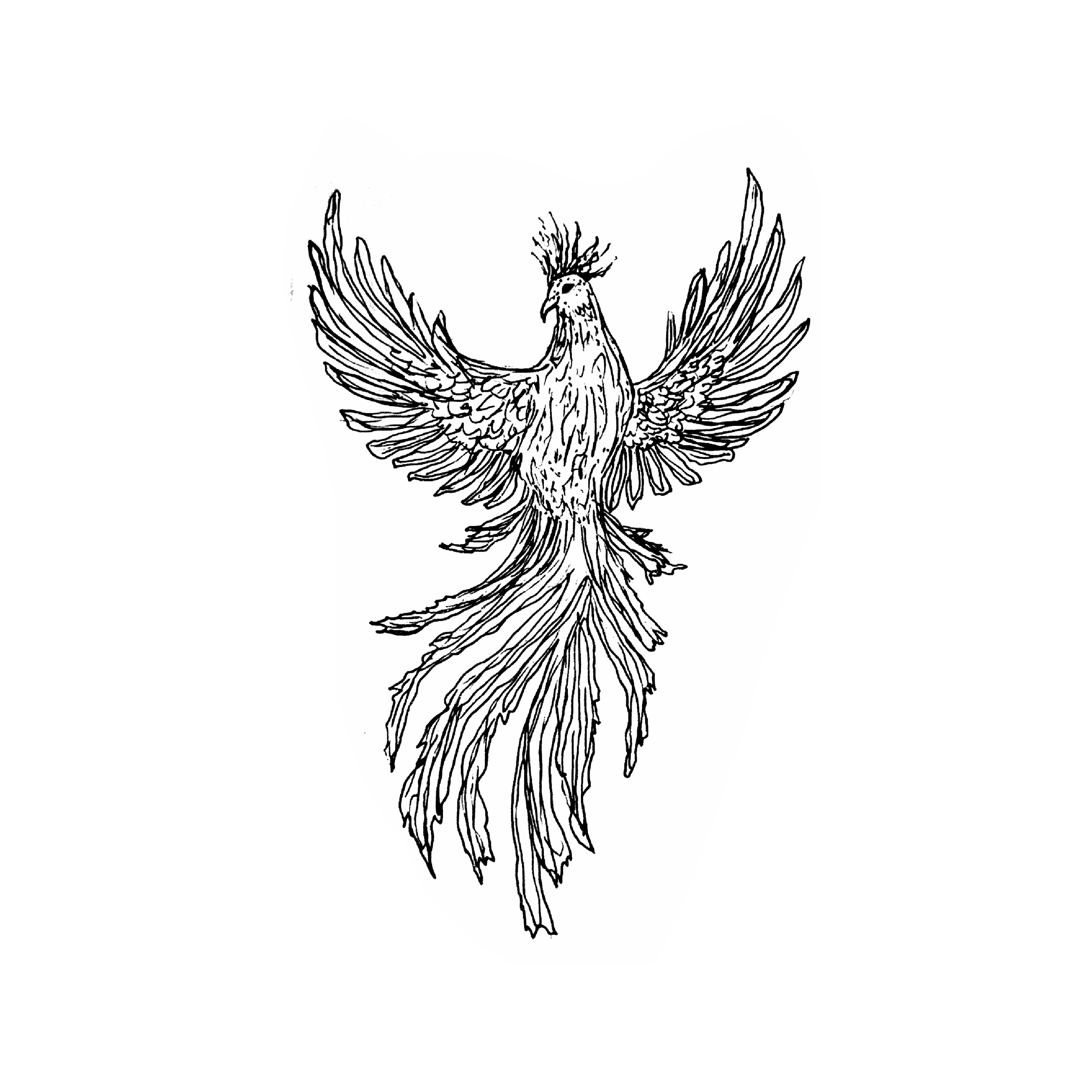 A7.png
