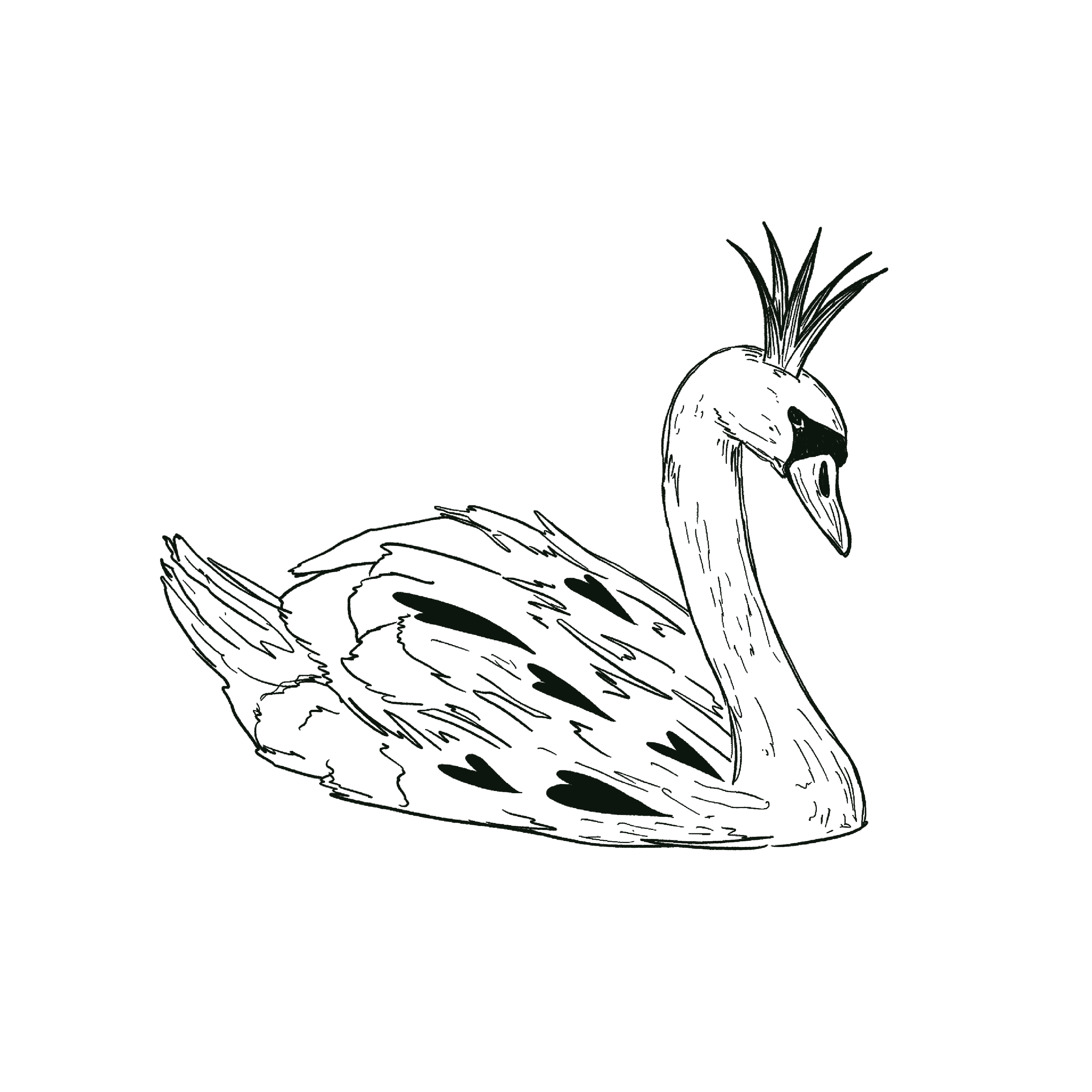 SWAN.png