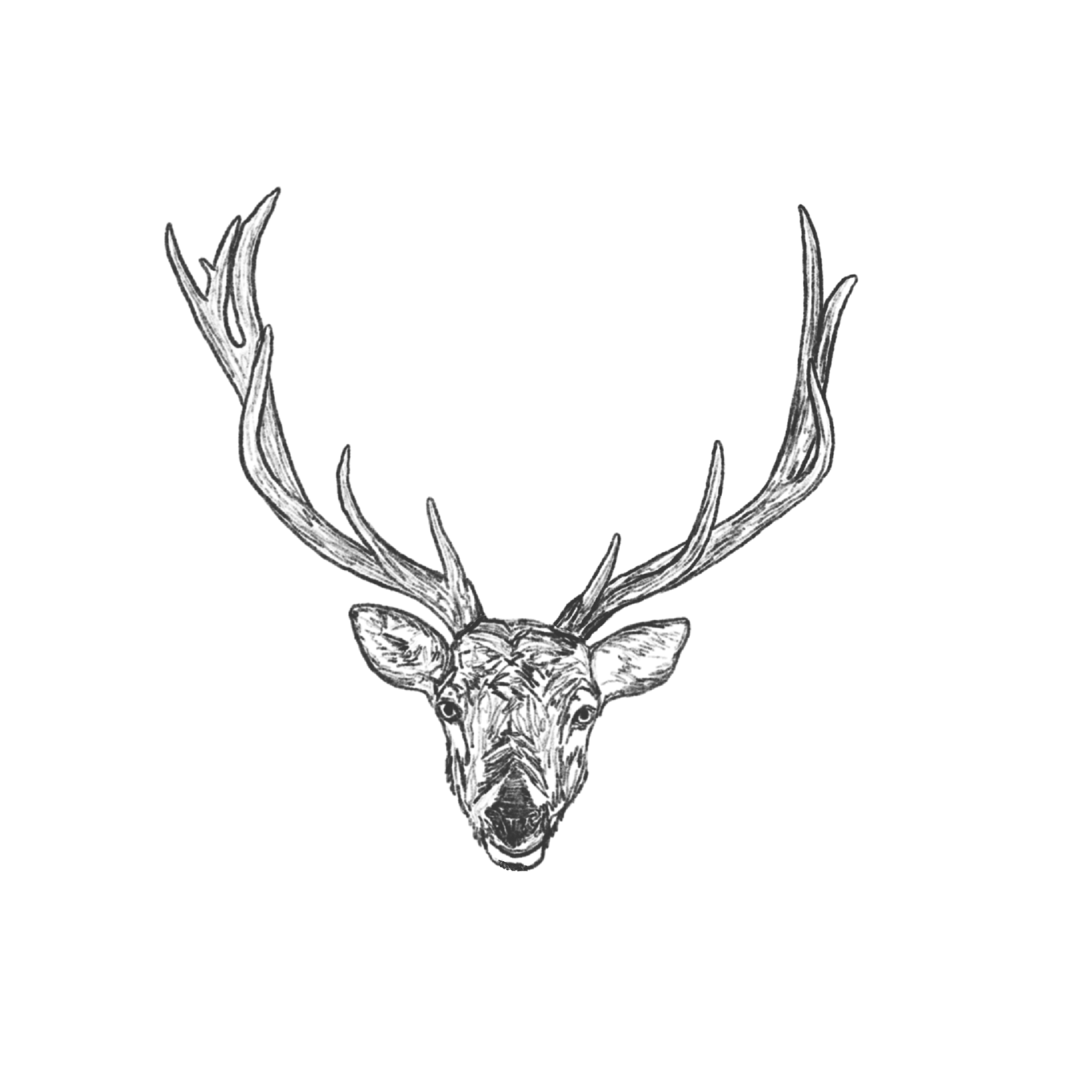 ANTLER HEAD.png