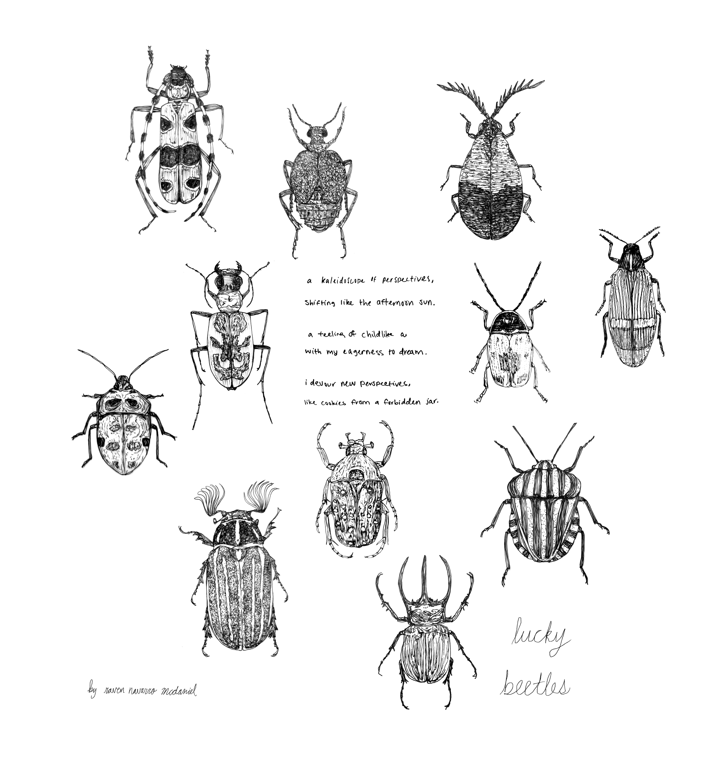 LUCKY BEETLES