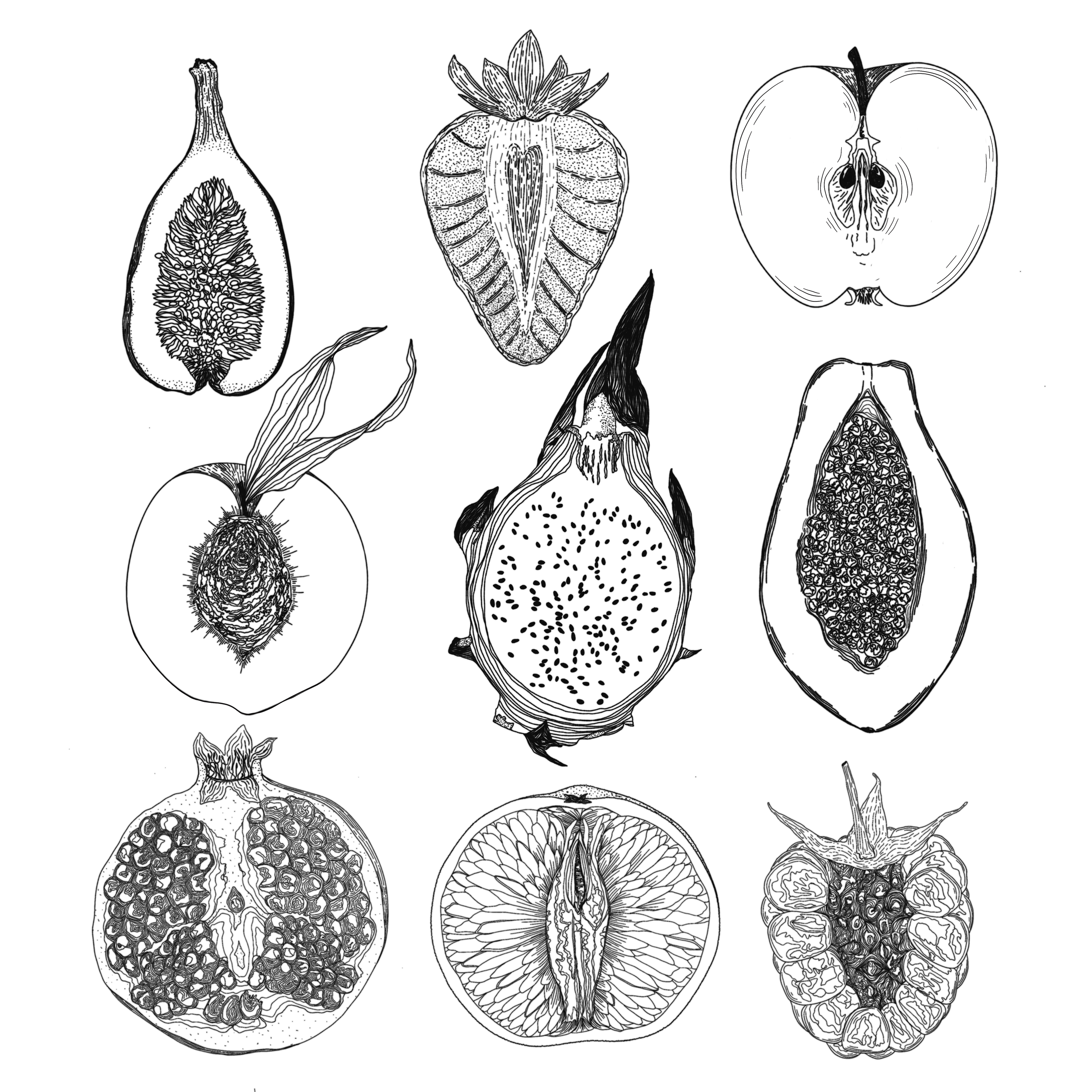 fruit 2022.png