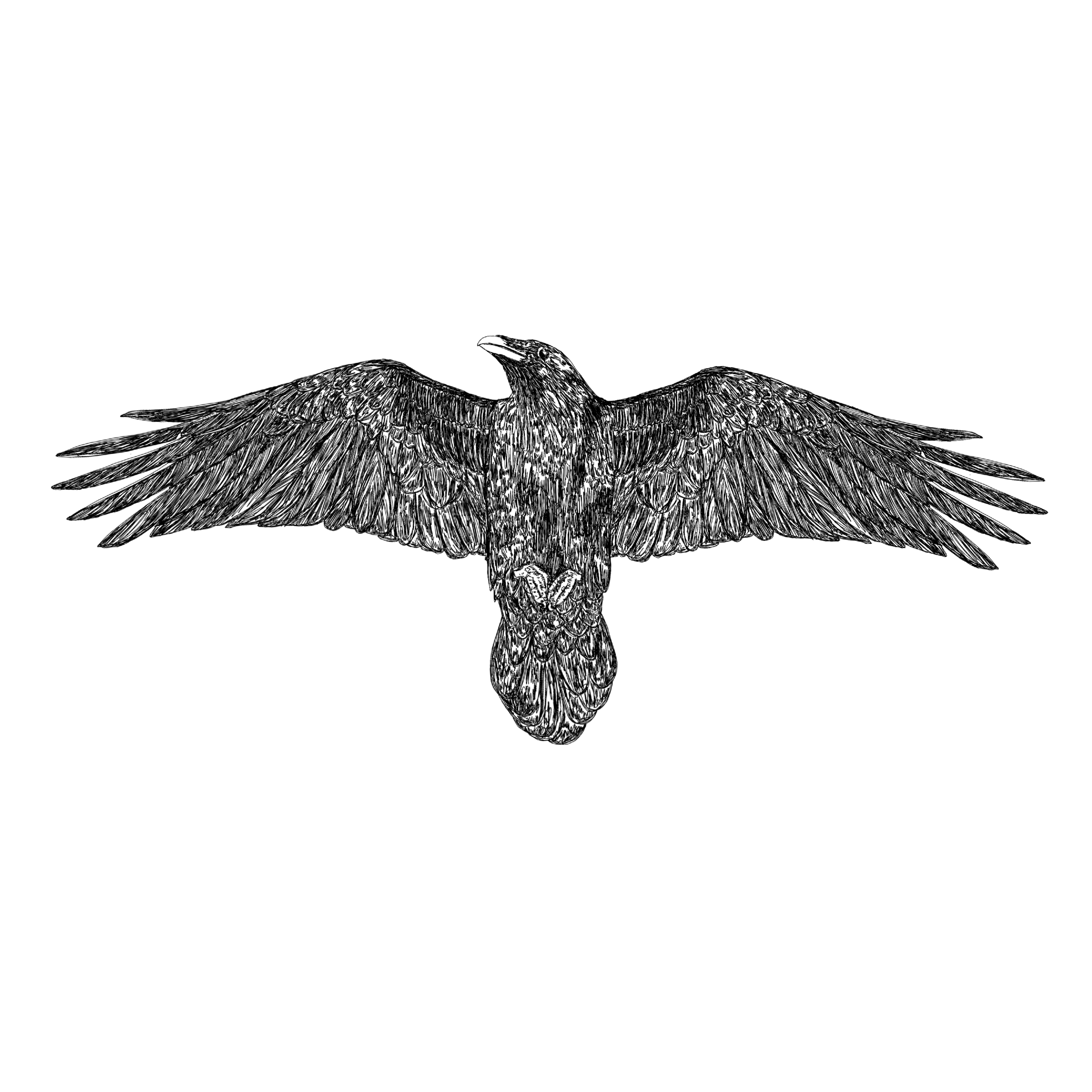 RAVEN.png