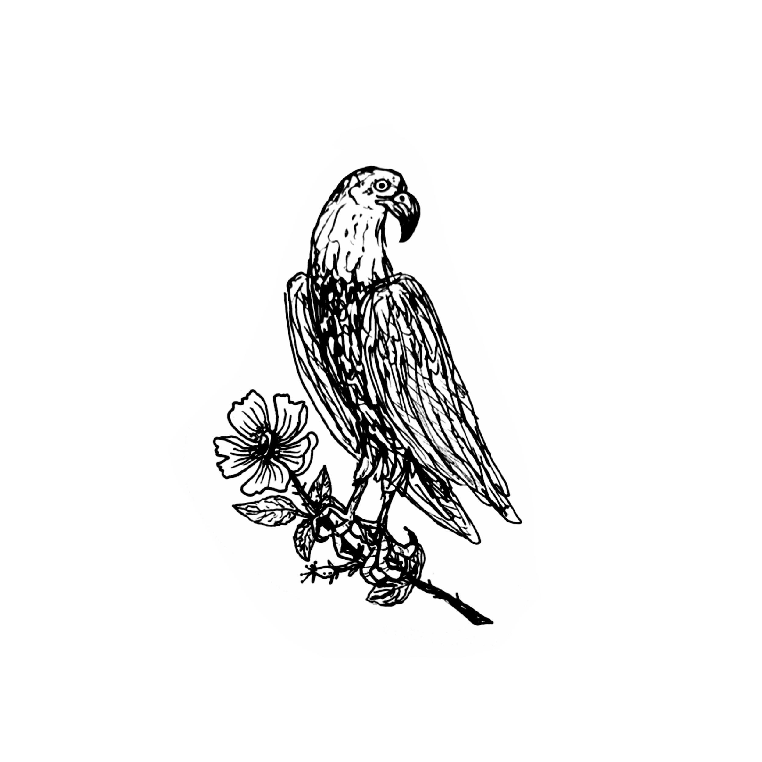 A4.png