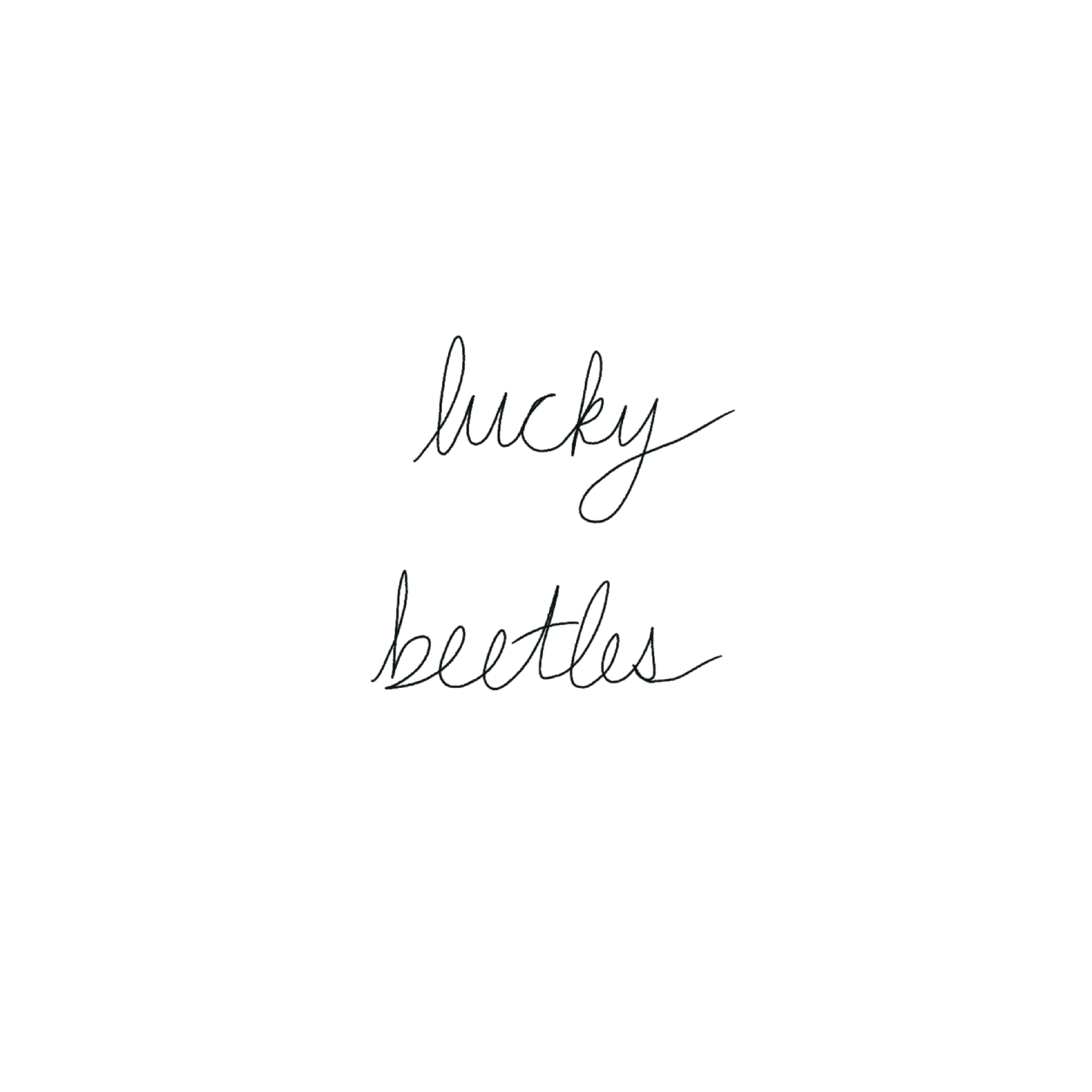 lucky beetles.png