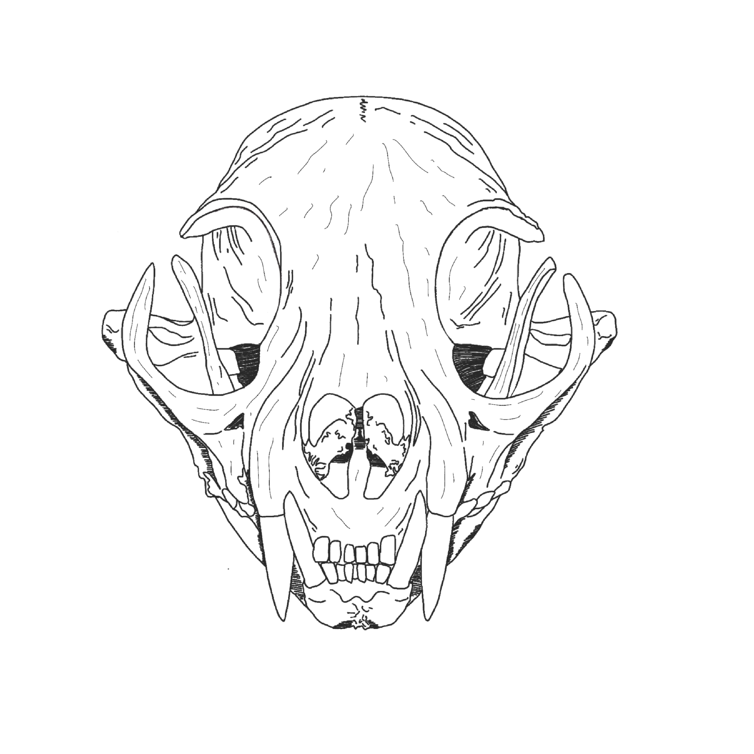 R1.png